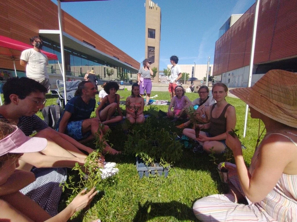 “Listening to Place: Reciprocity and Care.” Native Plants and the Human Connection (2023)