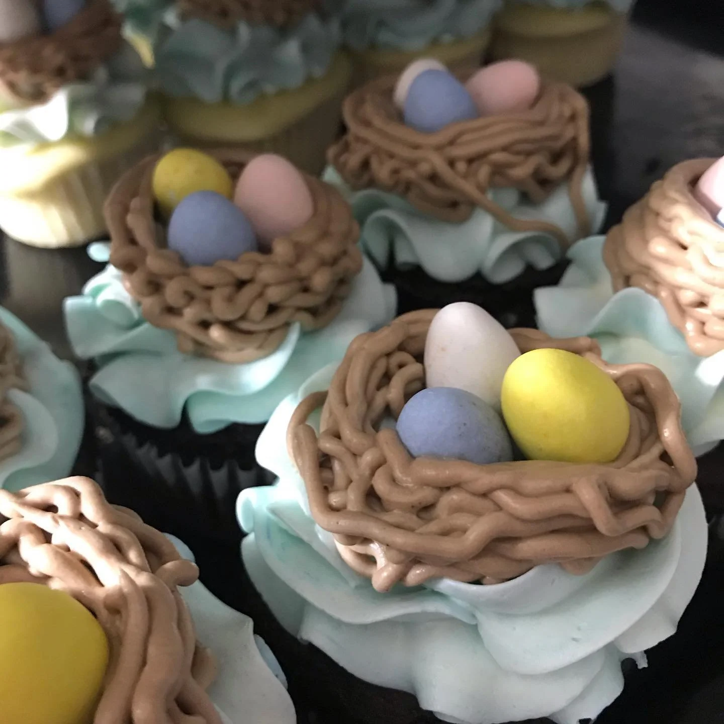 bird nest cupcake.jpg