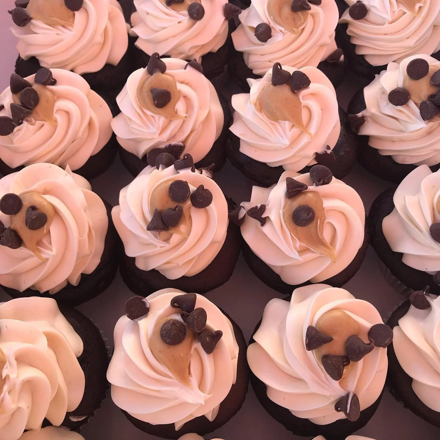 peanut butter fudge cupcakes.jpg