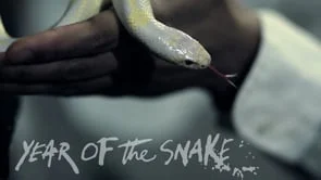 Snake Dog IPA: Flying Dog Brewery