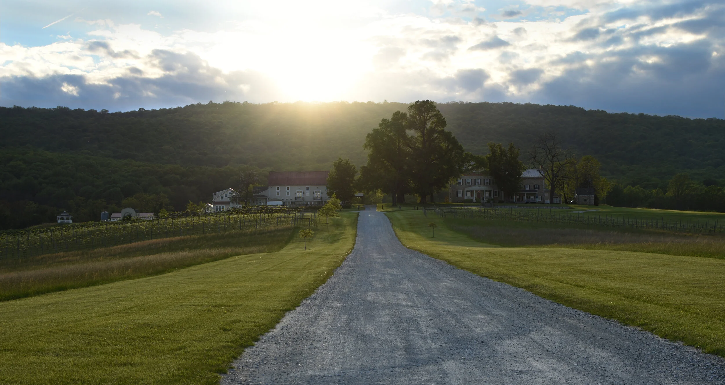 Springfield Manor.jpg