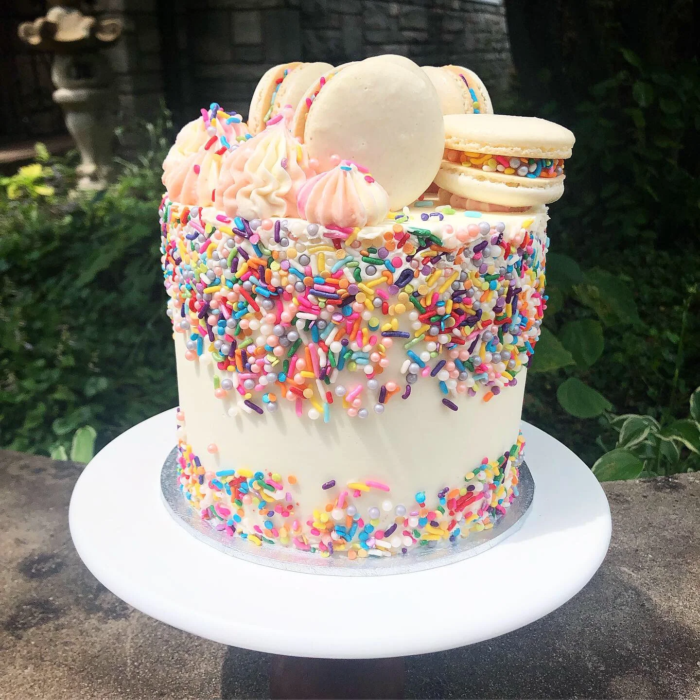 1C03CD1F-919E-4C4E-8EB6-6D58D059DF71 (1).JPG