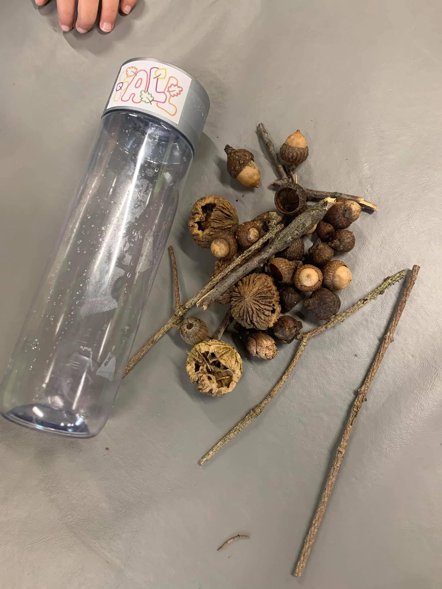 Halloween wasn’t our only fun this week...