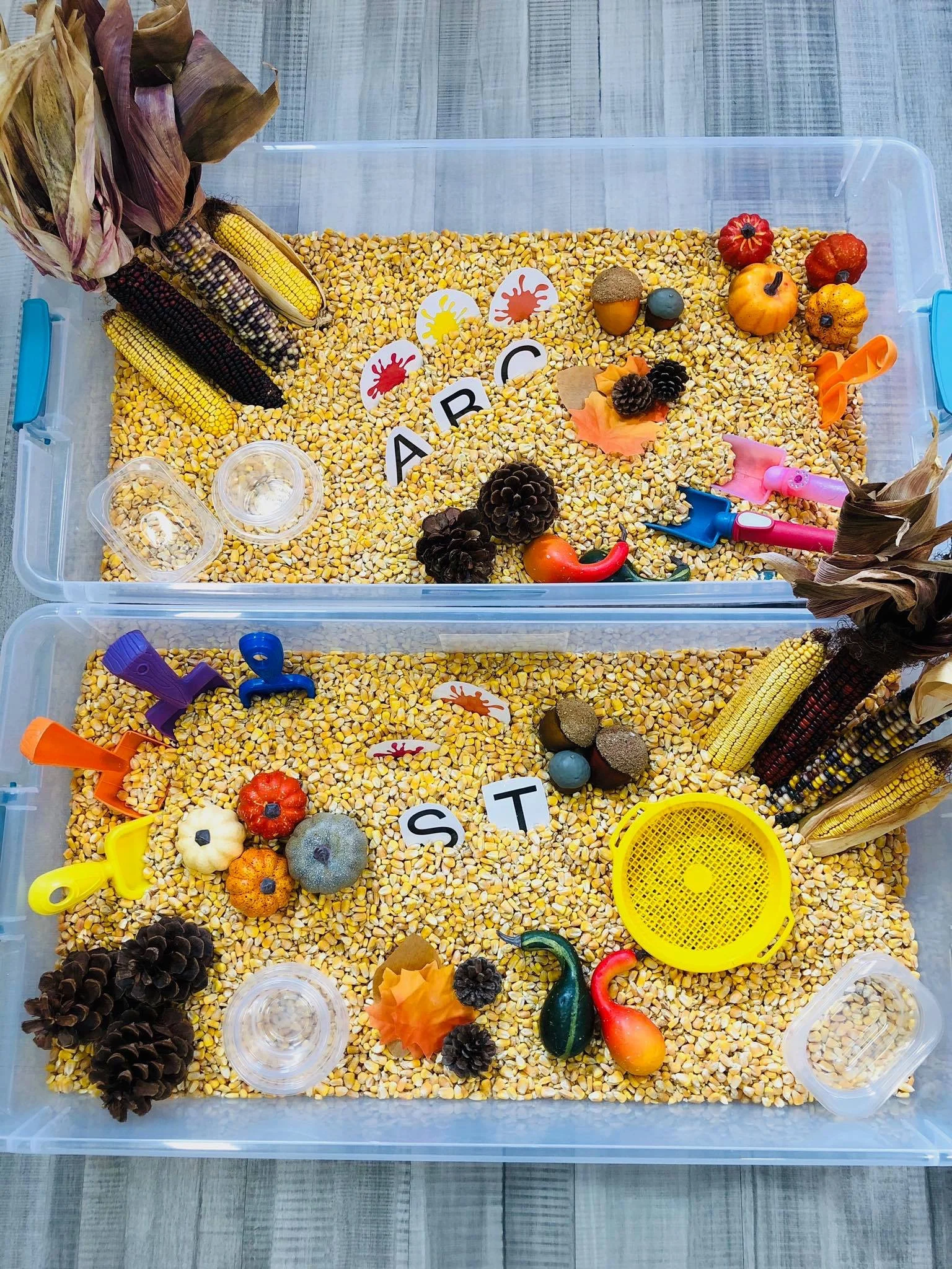 Sensory Bins