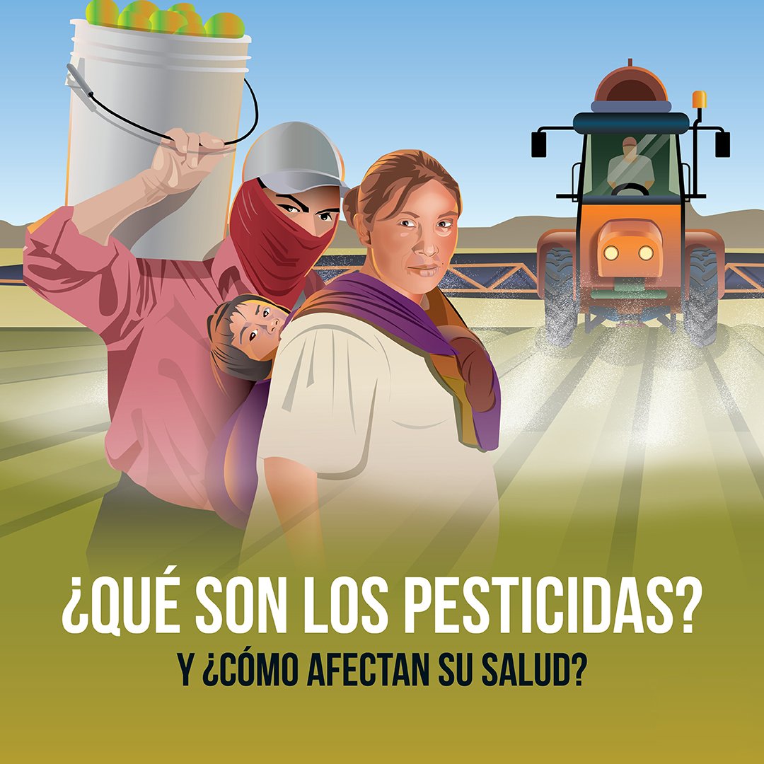 ¿Qué son los pesticidas y cómo afectan su salud?