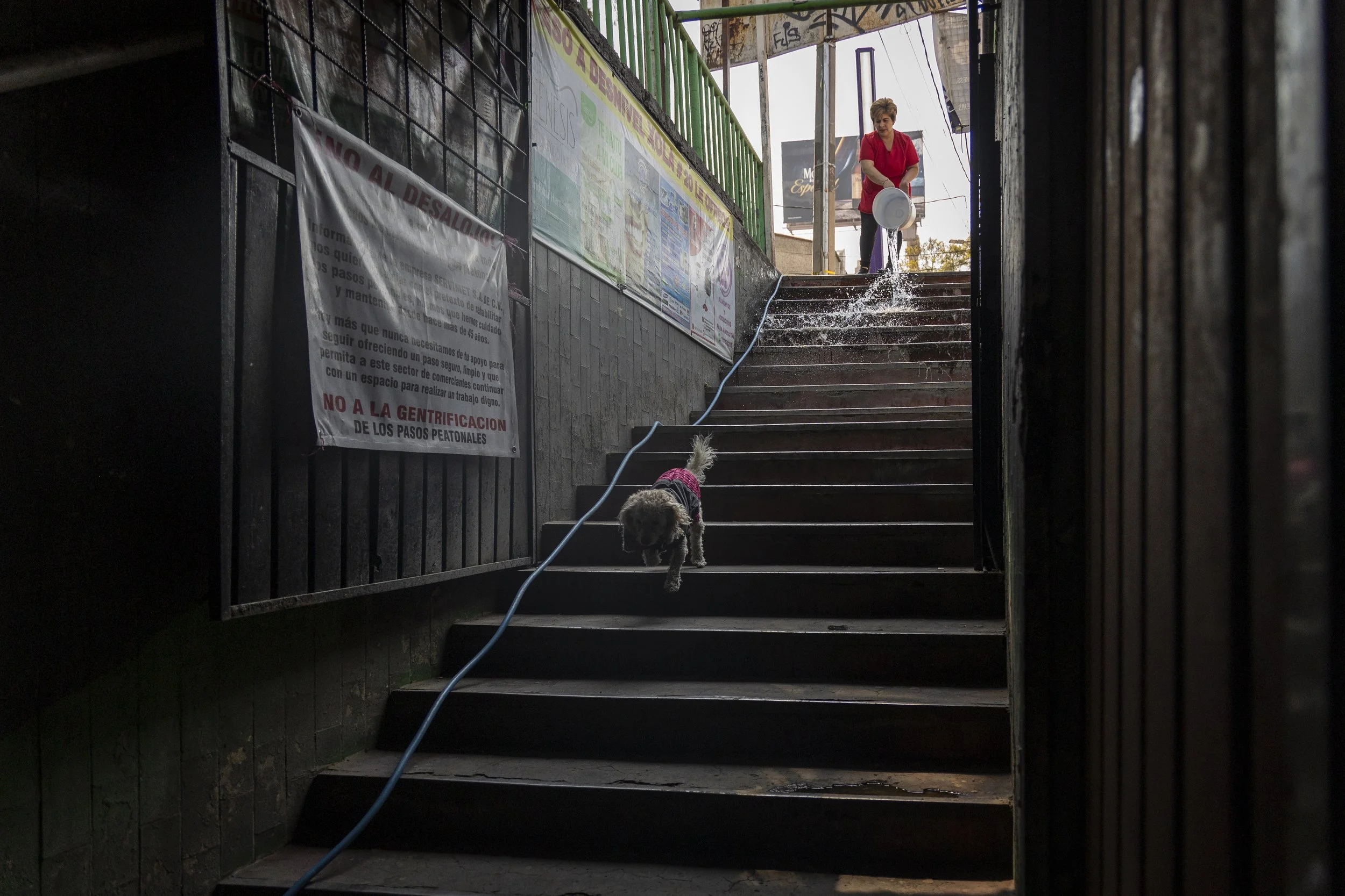   Bajo los pasos a desnivel de Calzada de Tlalpan, los proyectos de modernización continúan avanzando, a pesar de la creciente incertidumbre económica de los locatarios.  
