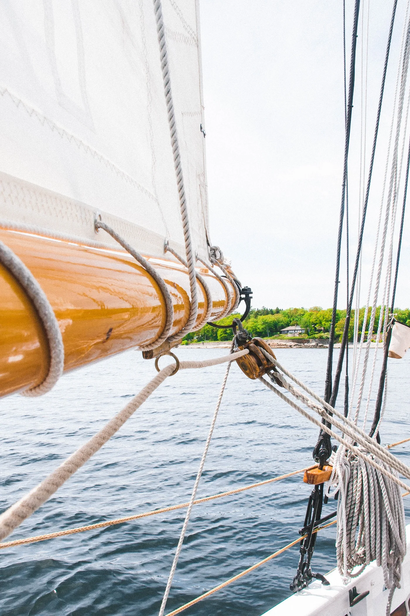 SCHOONER SURPRISE, CAMDEN, ME