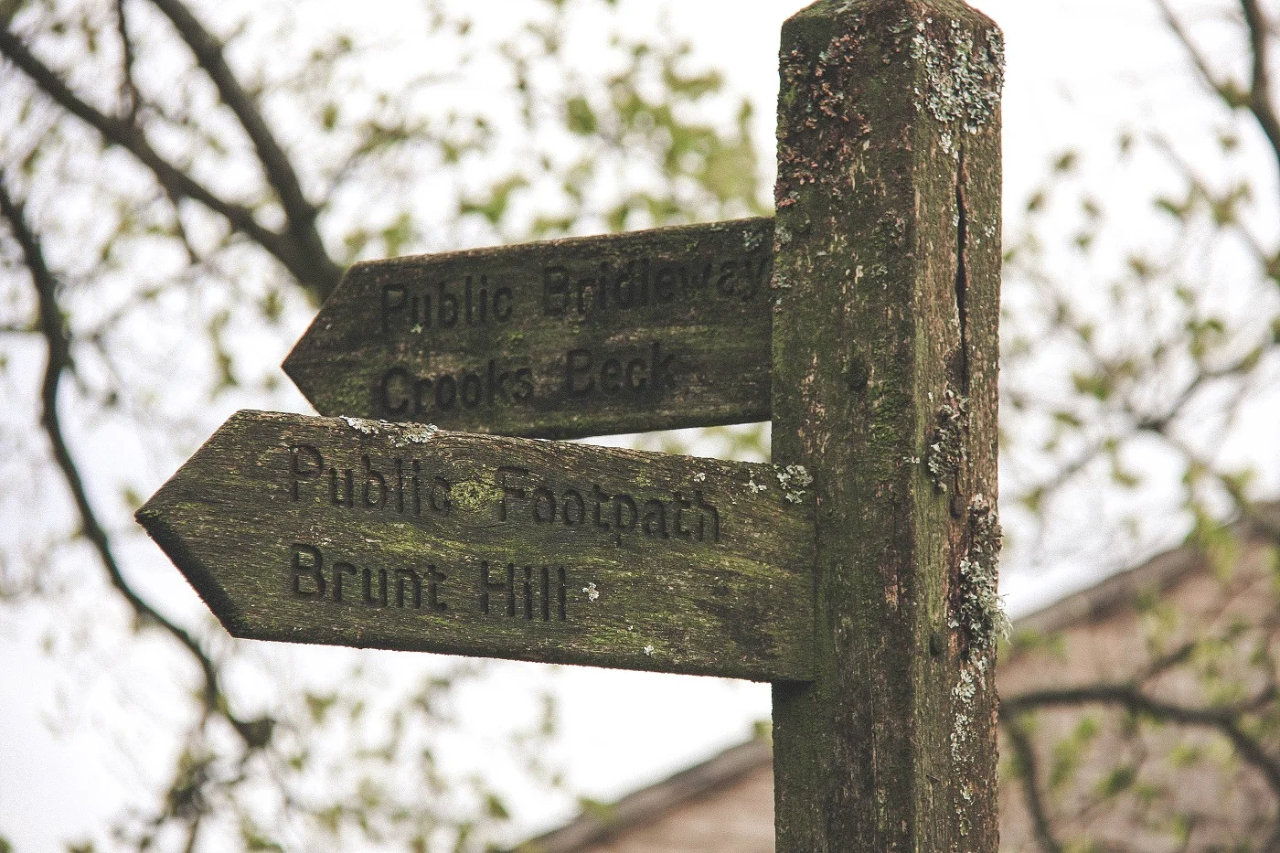 A CORNER OF EDEN FARMHOUSE