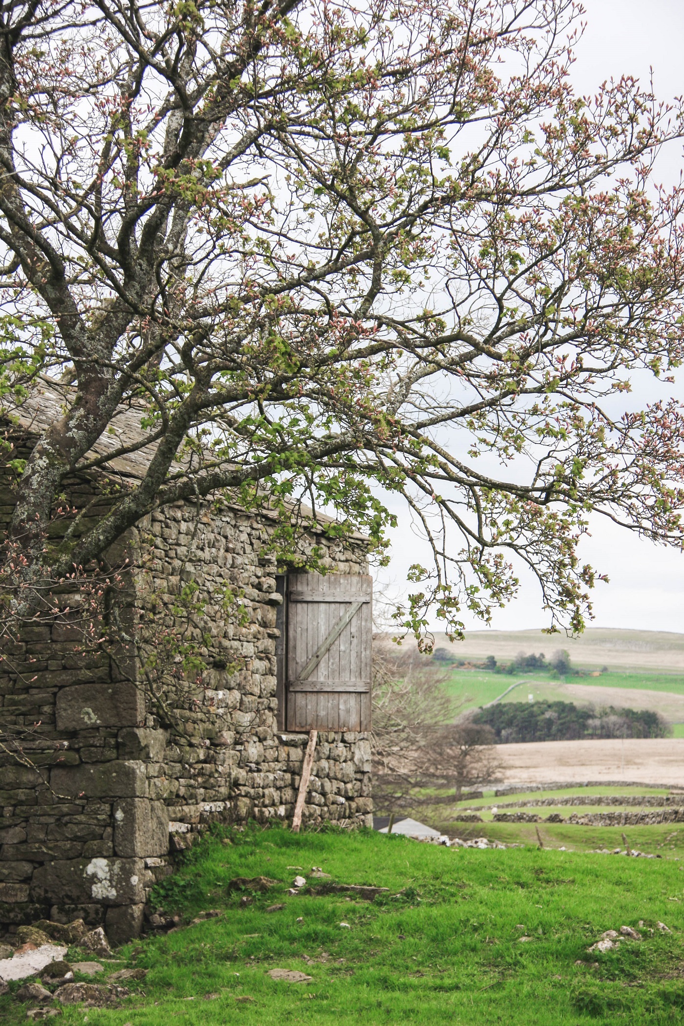 A CORNER OF EDEN FARMHOUSE