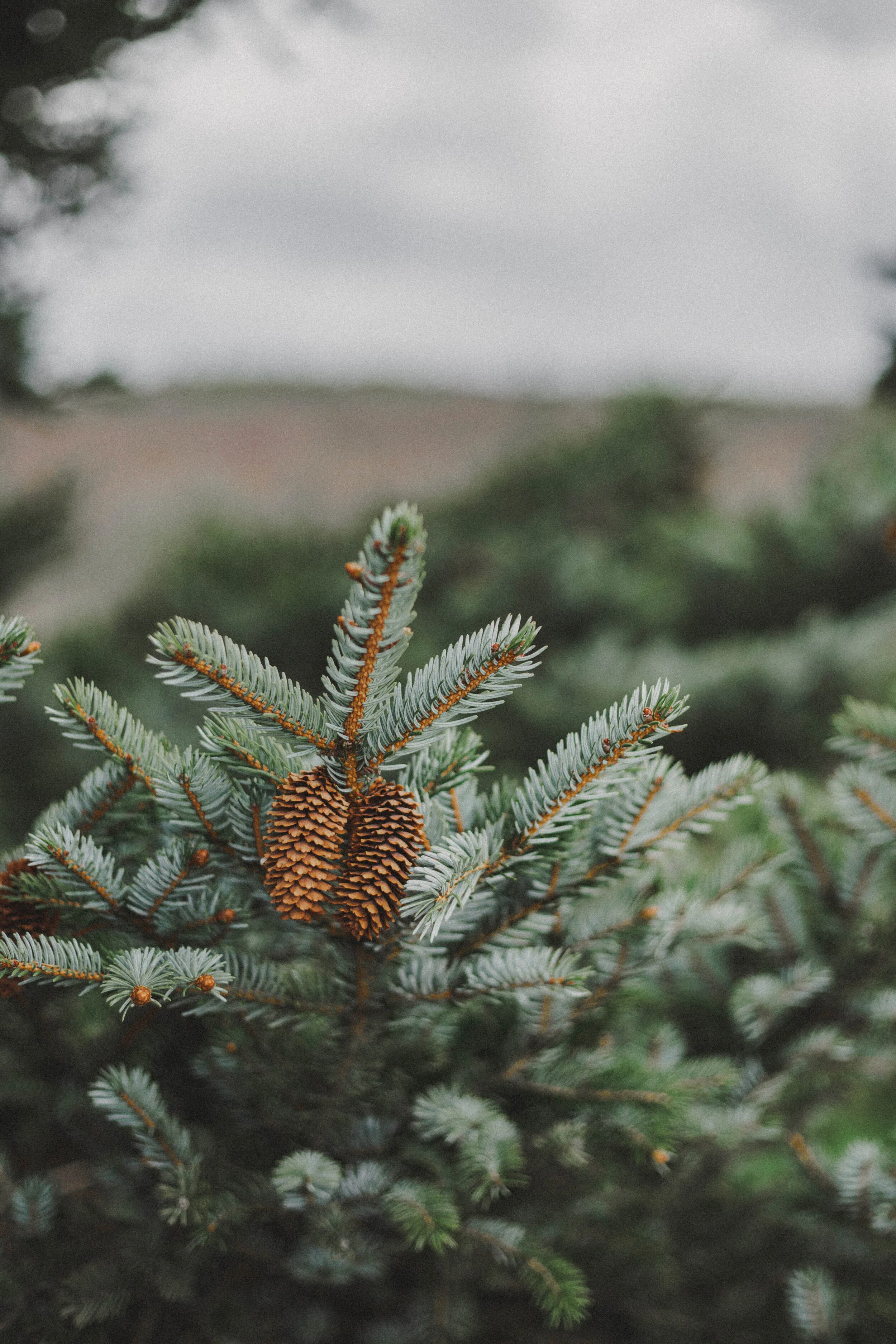 Athleta, Athleisure, Active, Fitness, Outdoors, Workout