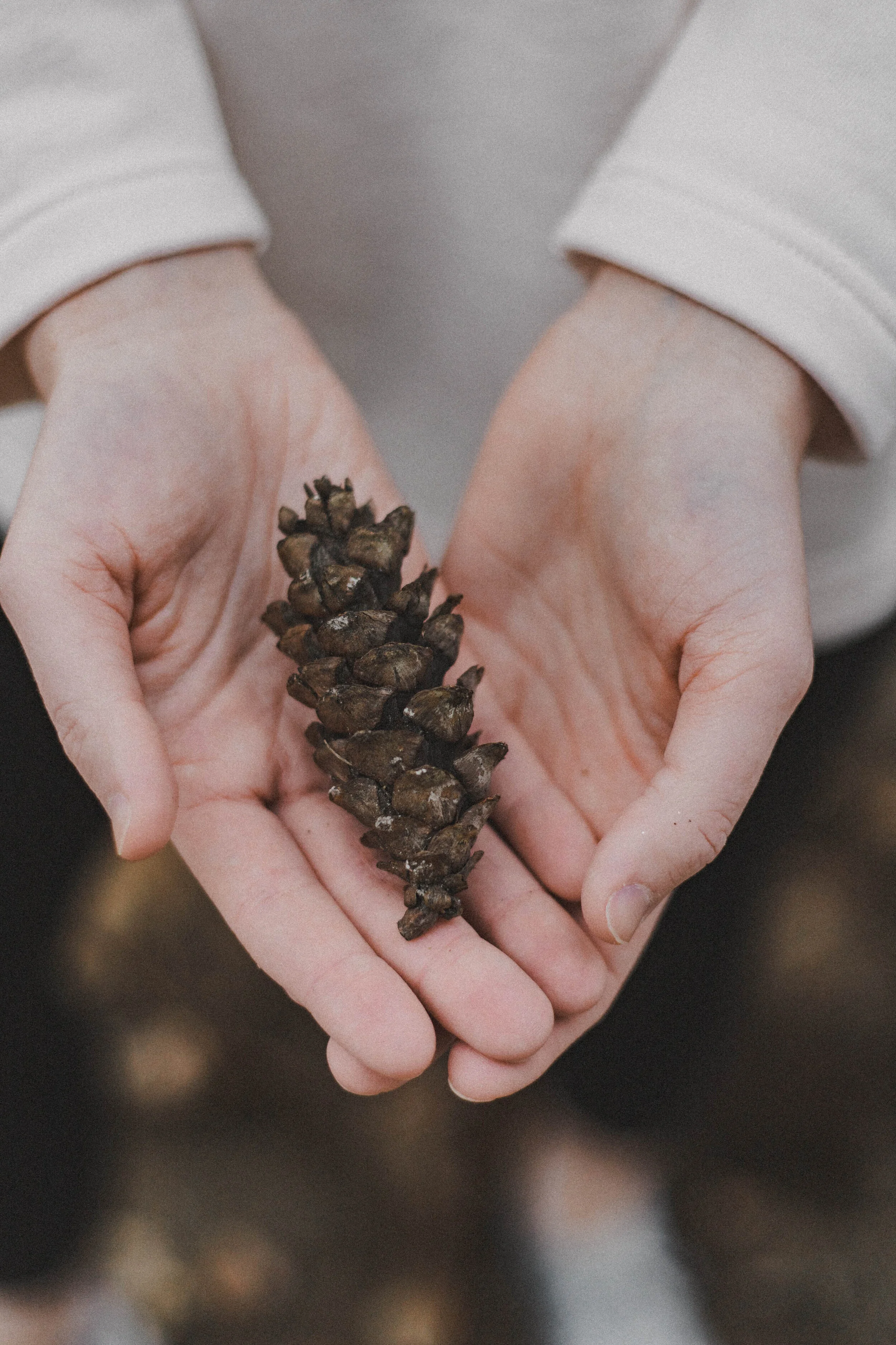 Athleta, Athleisure, Active, Fitness, Outdoors, Workout