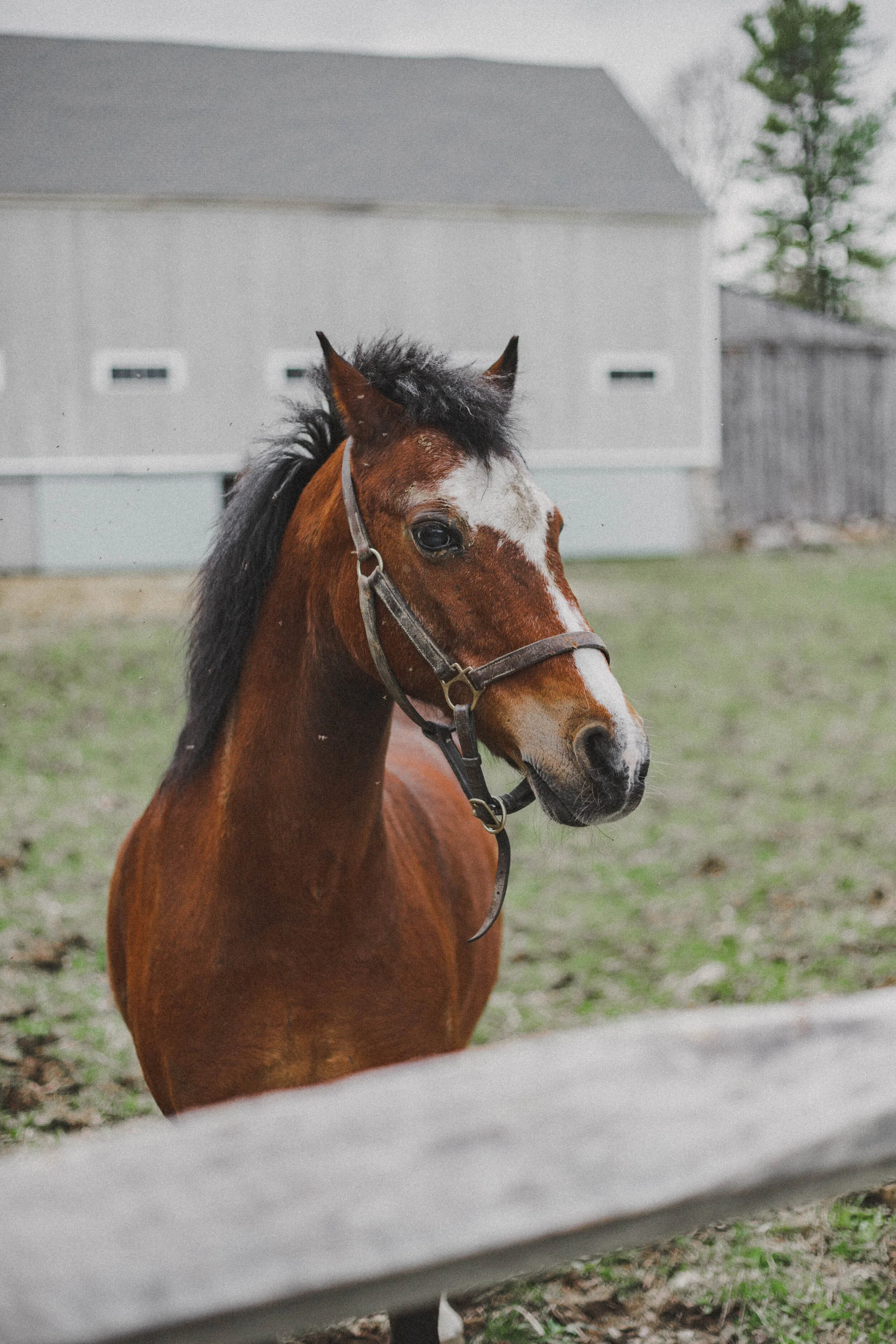 Athleta, Athleisure, Active, Fitness, Outdoors, Workout