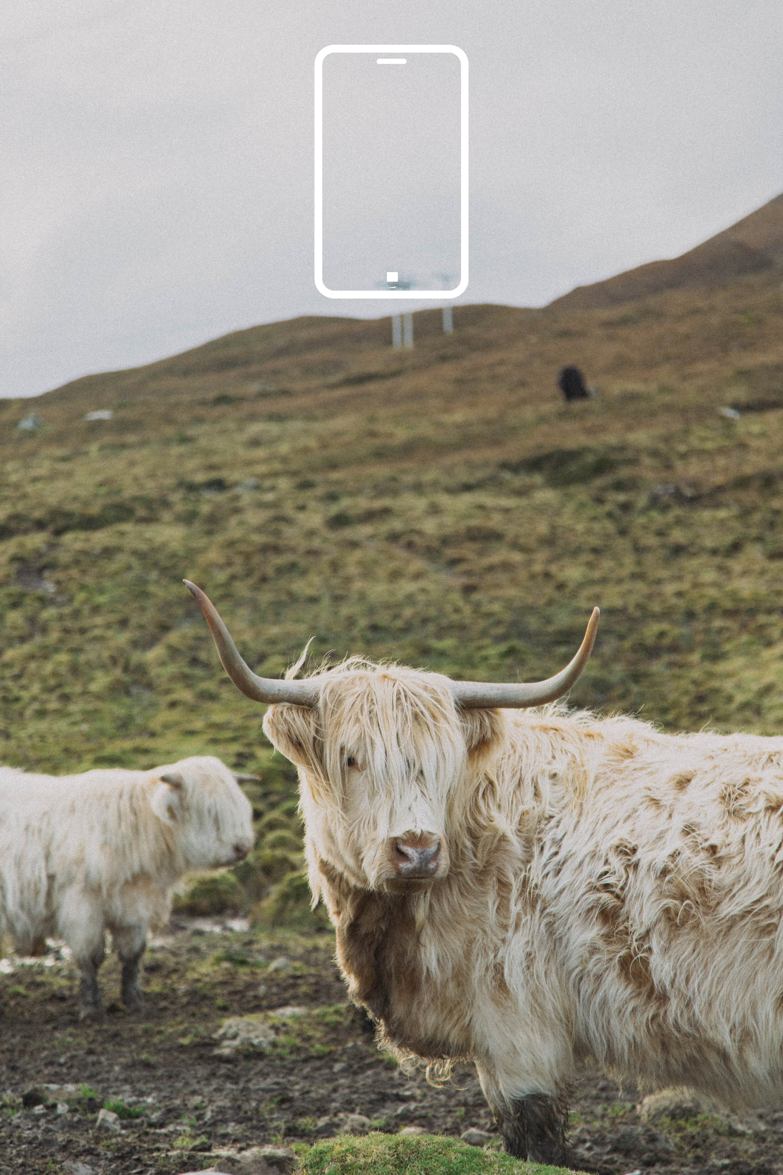 SCOTLAND Preset Pack - MOBILE