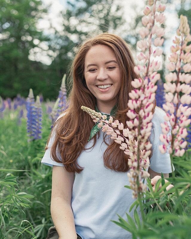 It&rsquo;s lupine season!! Up in beautiful Sugar Hill, NH, every year around mid-June, fields full of lupines are in full bloom!  Sugar Hill is as adorable as it&rsquo;s name, and is the best lupine spot in N.H.

My other favorite place to see the lu
