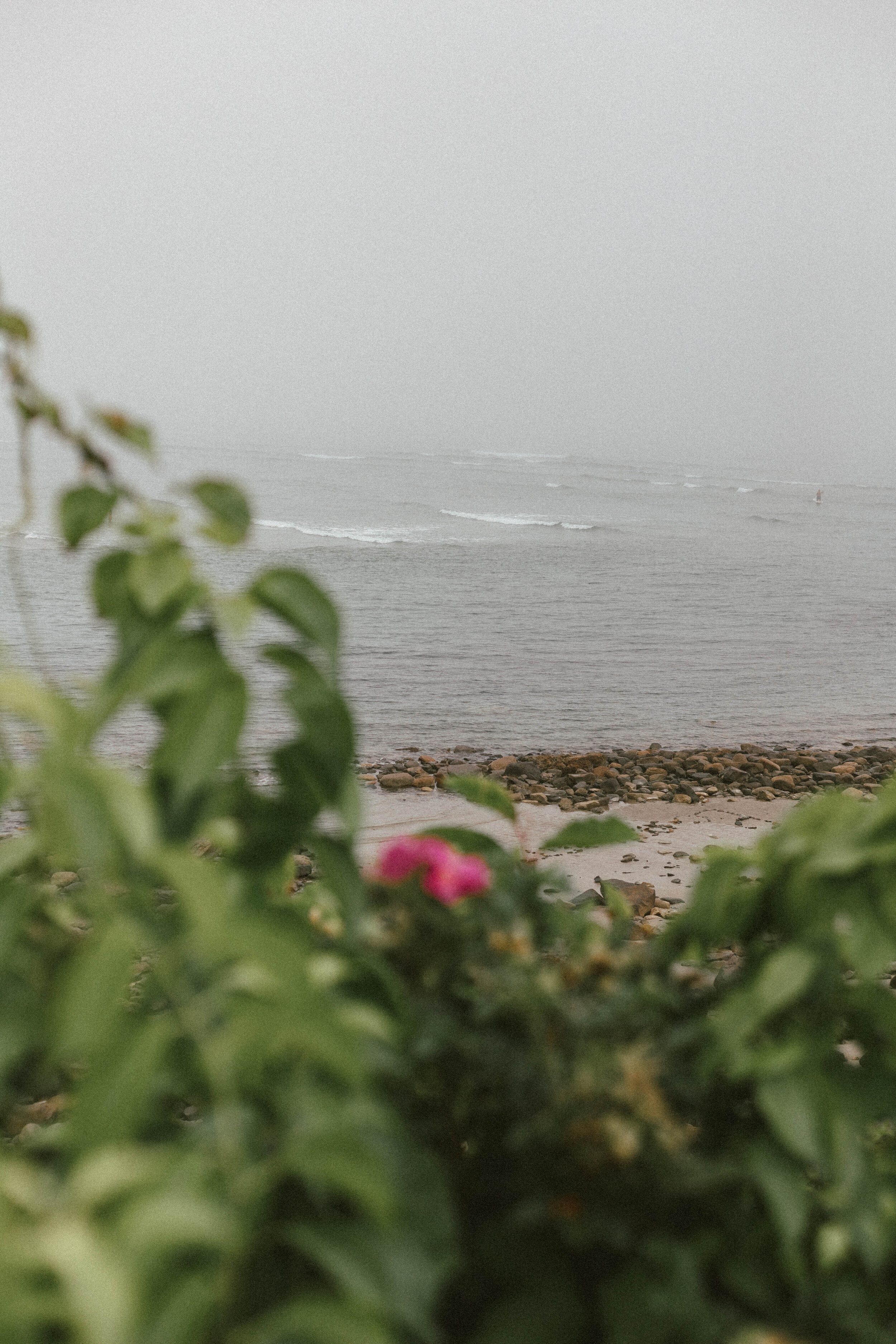 Ogunquit Maine Travel Guide, Travel Tips, Maine Coast