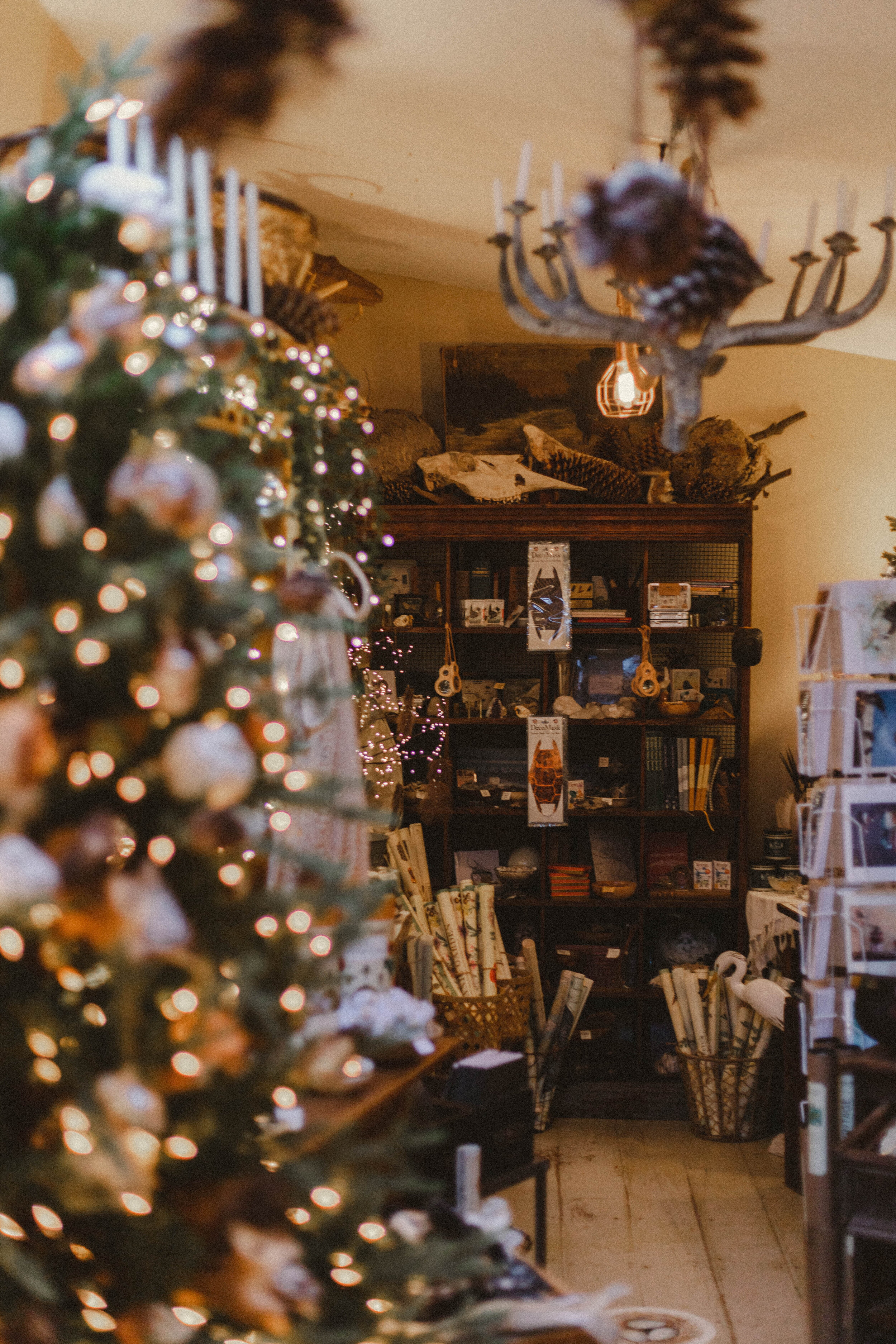 Concord, MA travel guide, massachusetts, new england, fall, autumn, countryside, town and country, travel, trip, vacation, guide, countryside, country life