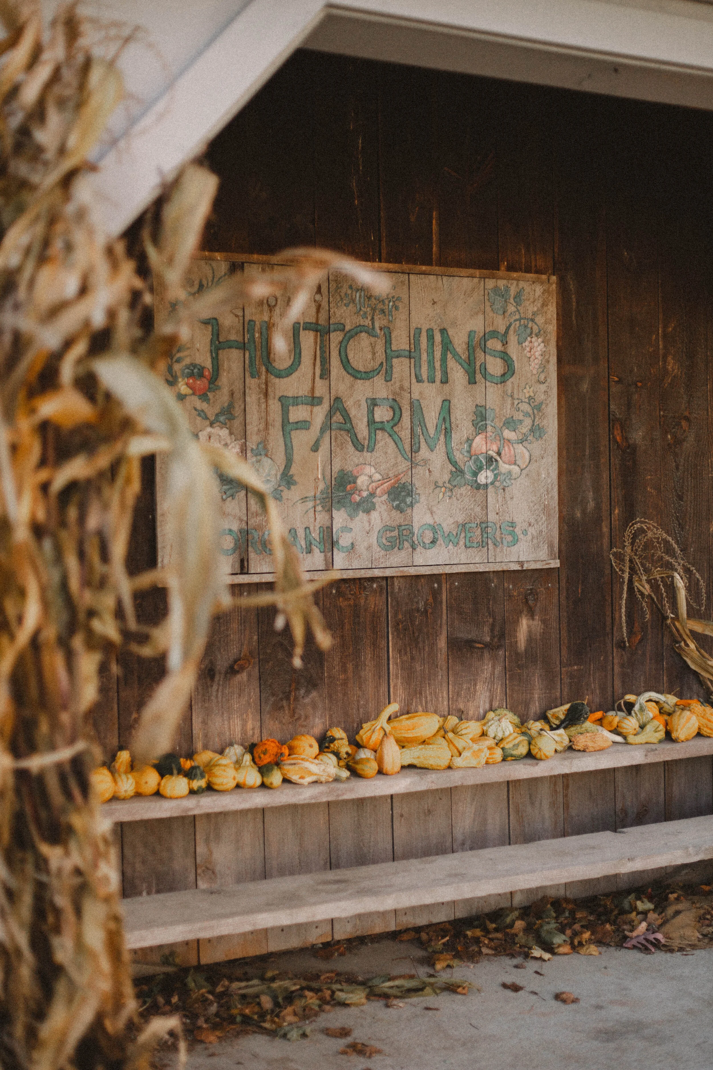 Concord, MA travel guide, massachusetts, new england, fall, autumn, countryside, town and country, travel, trip, vacation, guide, countryside, country life