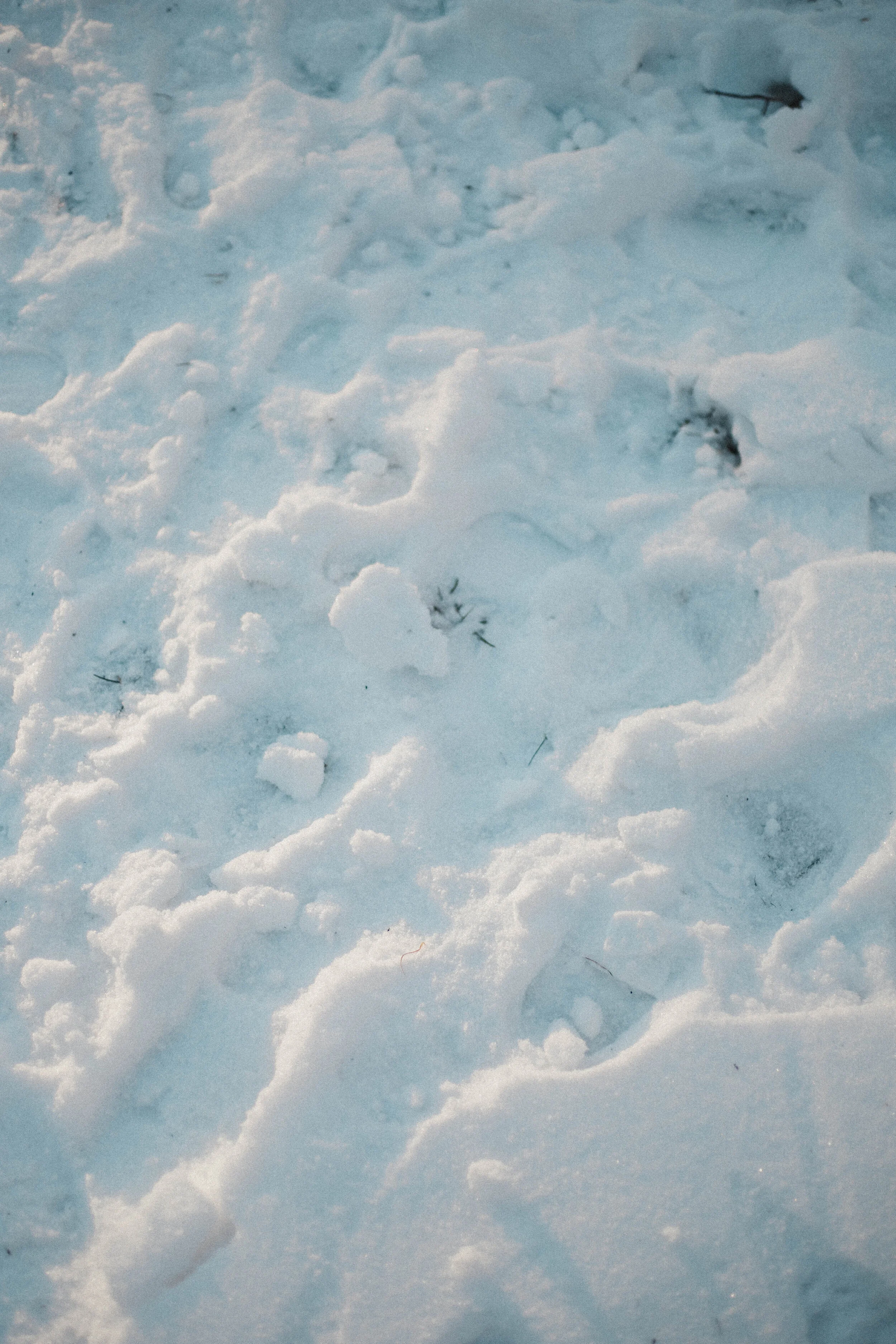 fondue party, apres ski, wintertime, winter, snow, snow party,