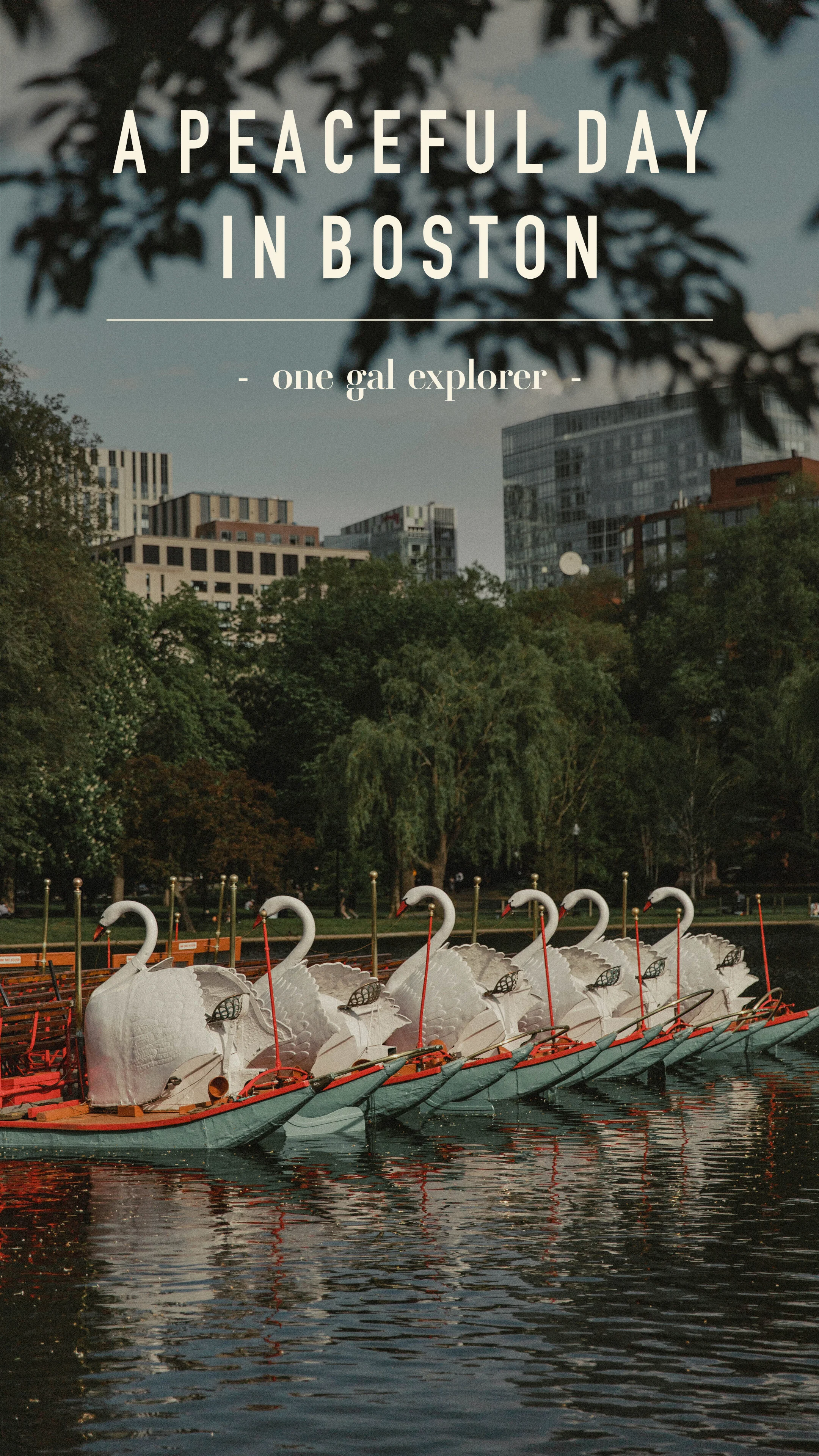 Pinterest Graphic.jpg