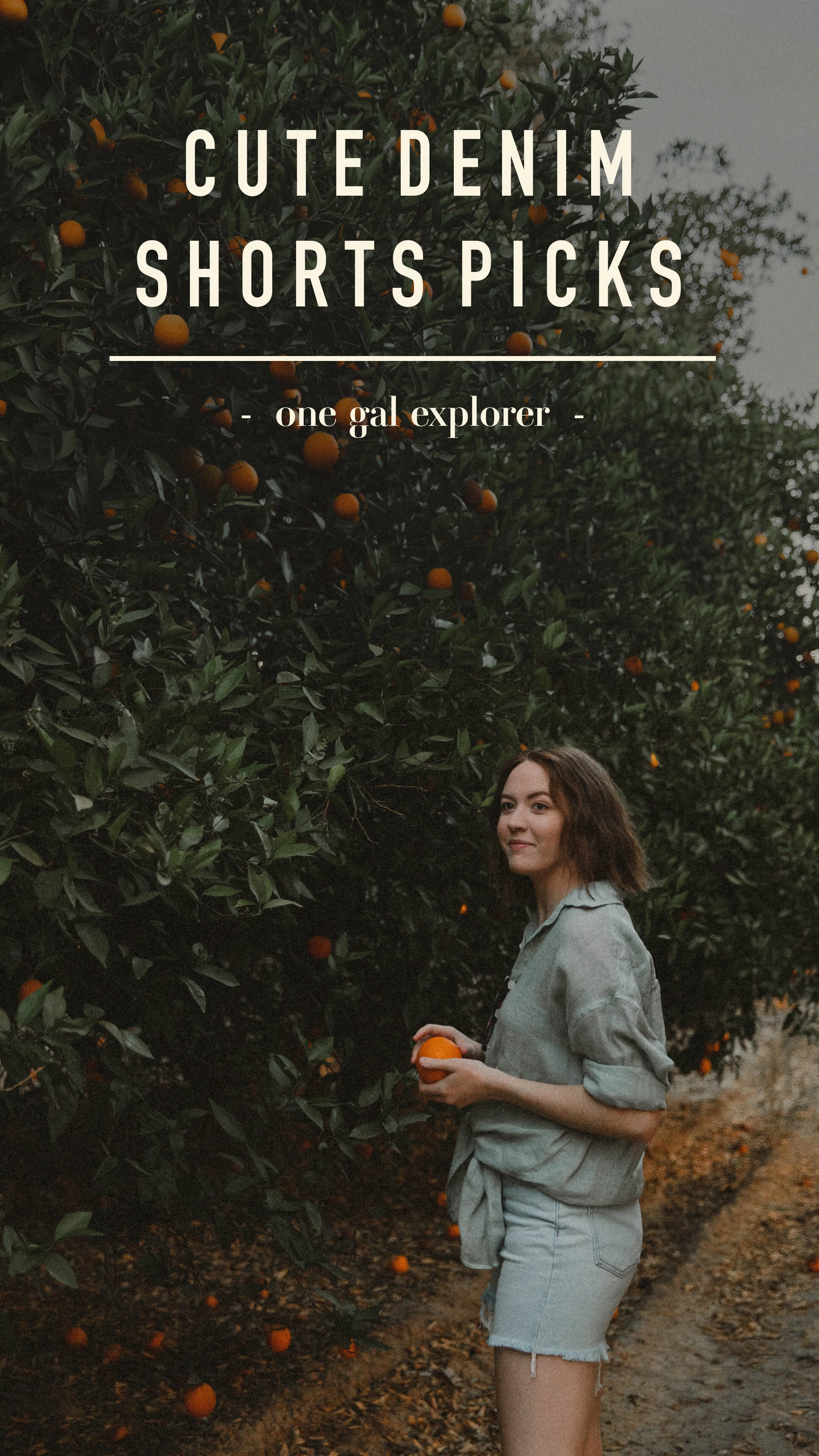 Pinterest Graphic3 copy.jpg