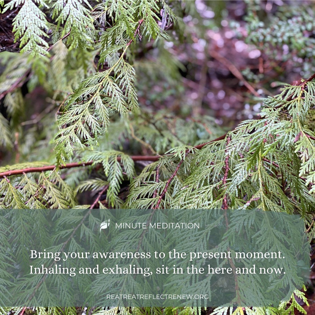 Bring your awareness to the present moment. 
Inhaling and exhaling, sit in the here and now.
______________________________

💻 RetreatReflectRenew.org
✉️ Christine@retreatreflectrenew.org
✝️ @RetreatReflectRenew
______________________________

#Retr