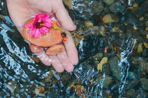 Rituals for Transition