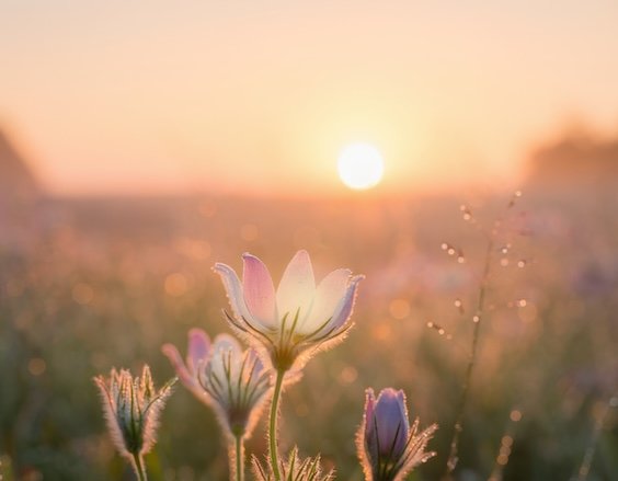 Awakening to the Sacred