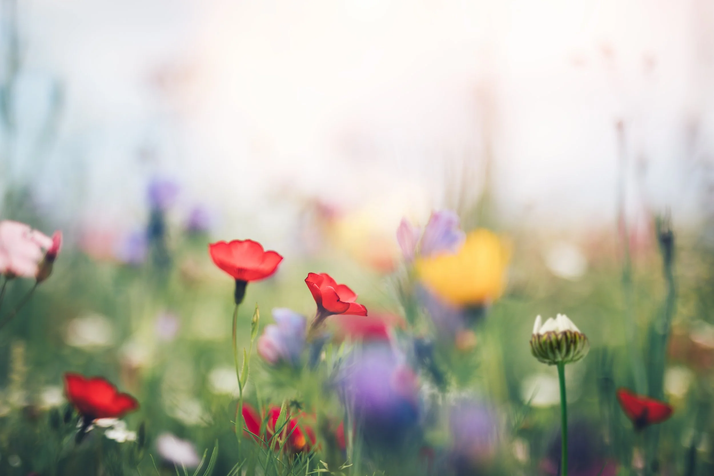 About Retreat, Reflect, Renew — Retreat, Reflect, Renew