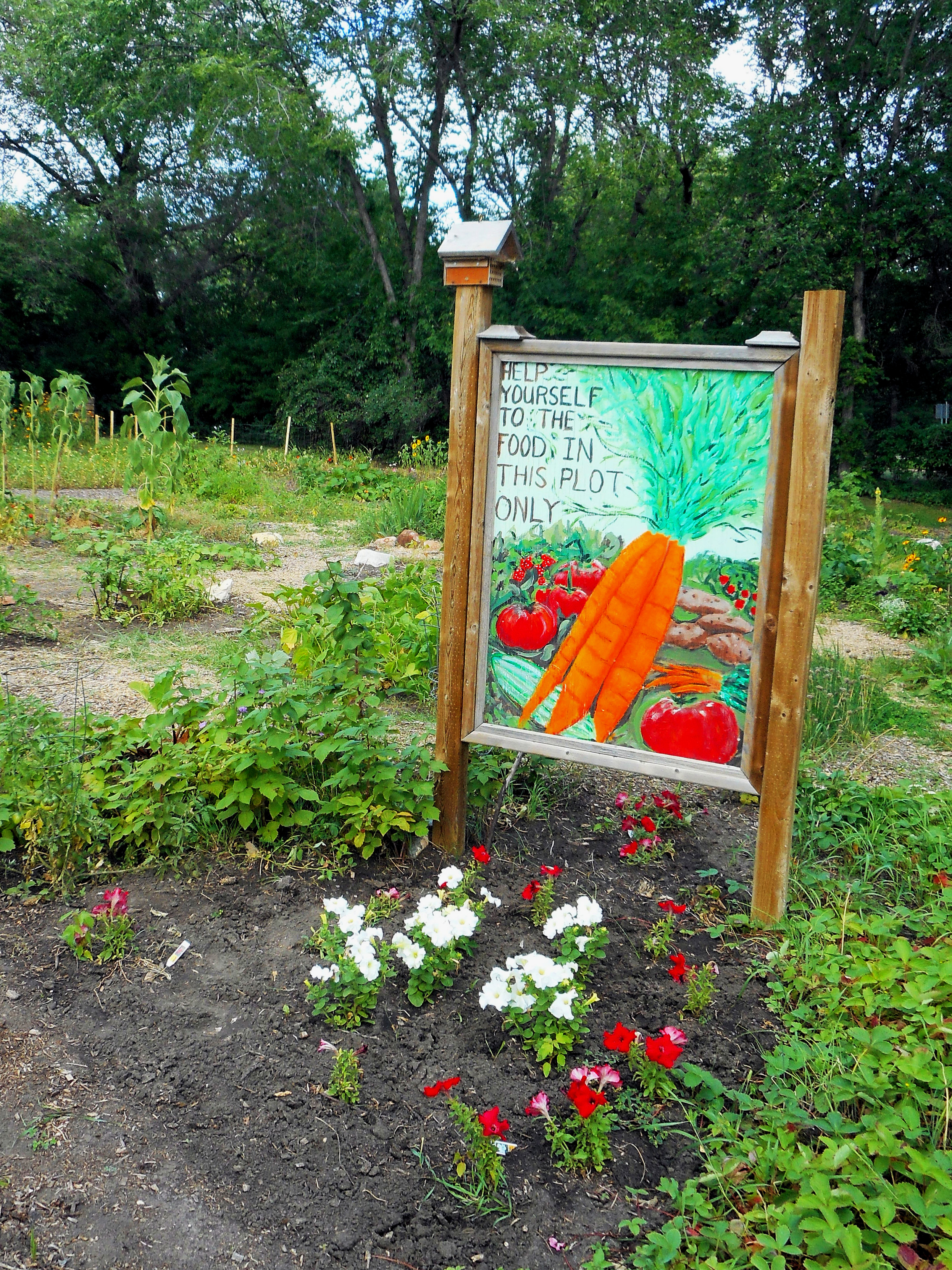 Community+Garden.jpg