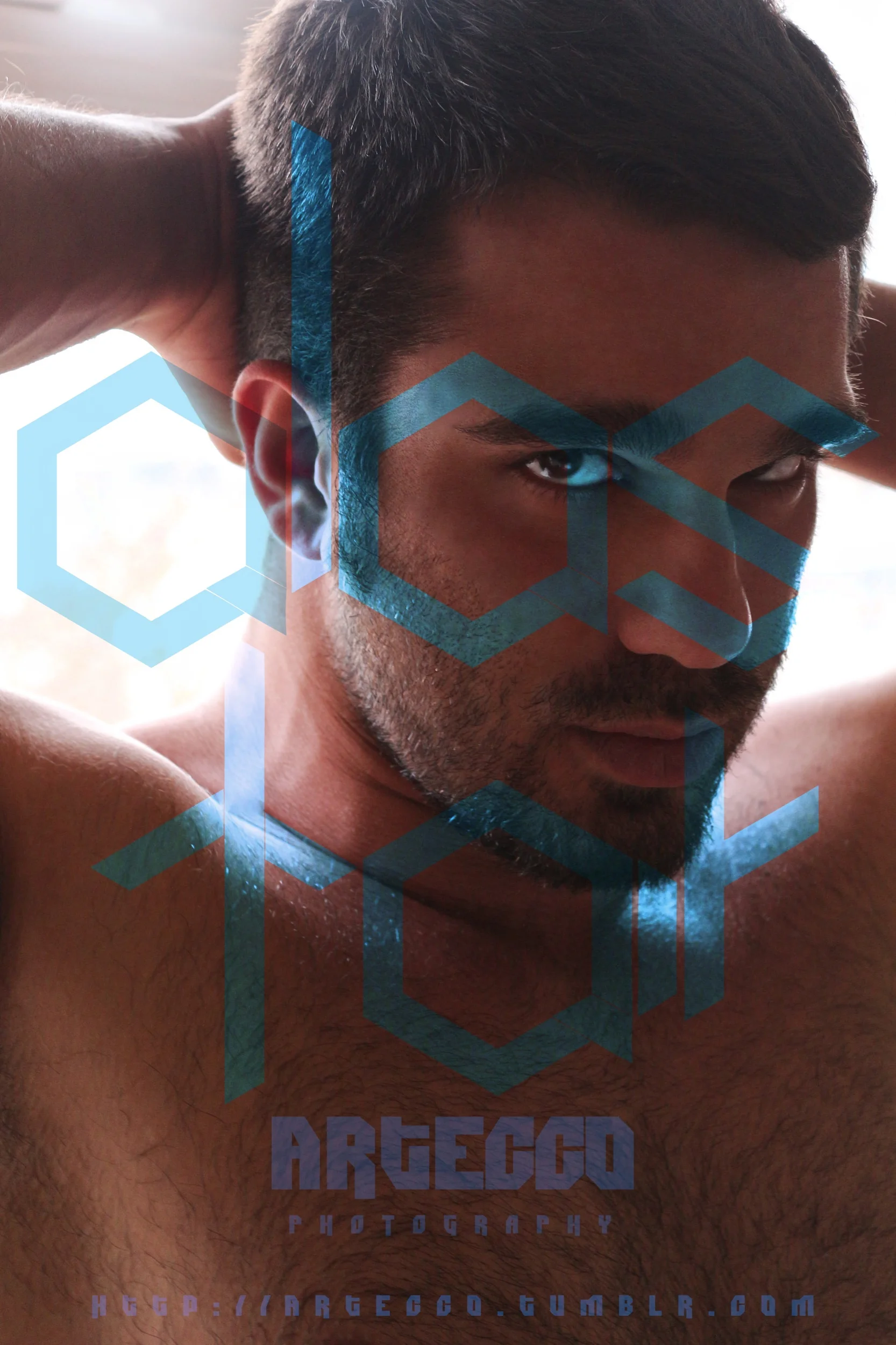 Retrato de un hombre con barba y cabello oscuro, con fondo de luz, con el texto 'ARTECCO PHOTOGRAPHY' y un enlace web, decorado con hexágonos azules.