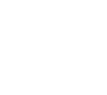 Carita de tortuga con cuerpo en forma de tortuga y cabeza sonriente