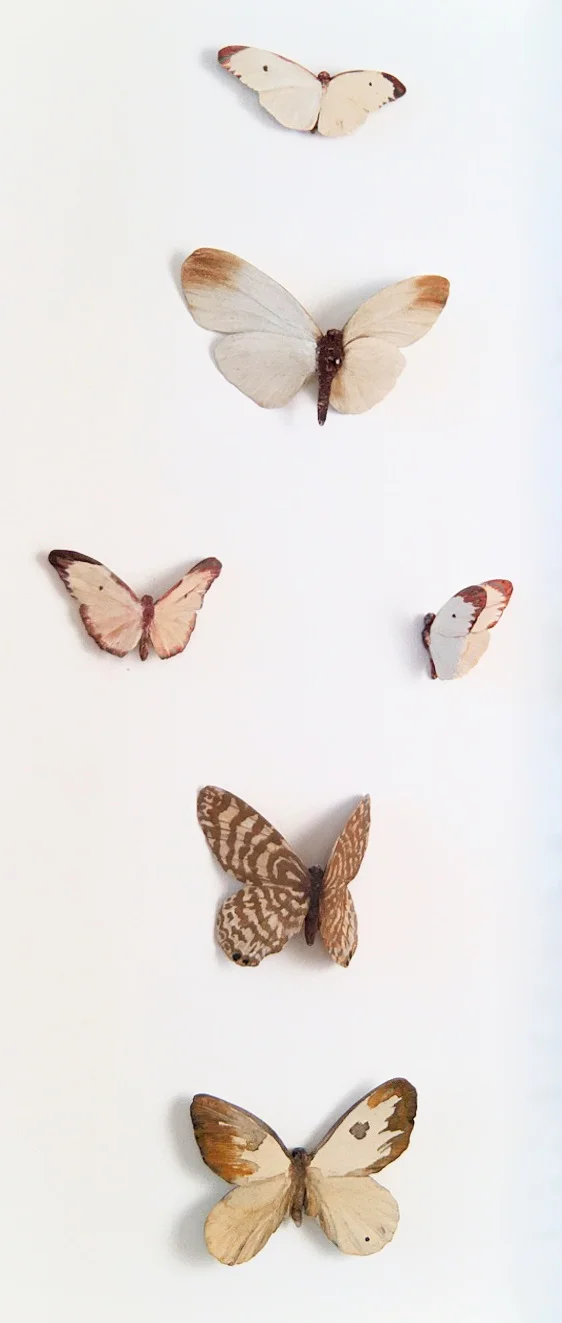 Neutral Butterflies - angle borderless.jpg