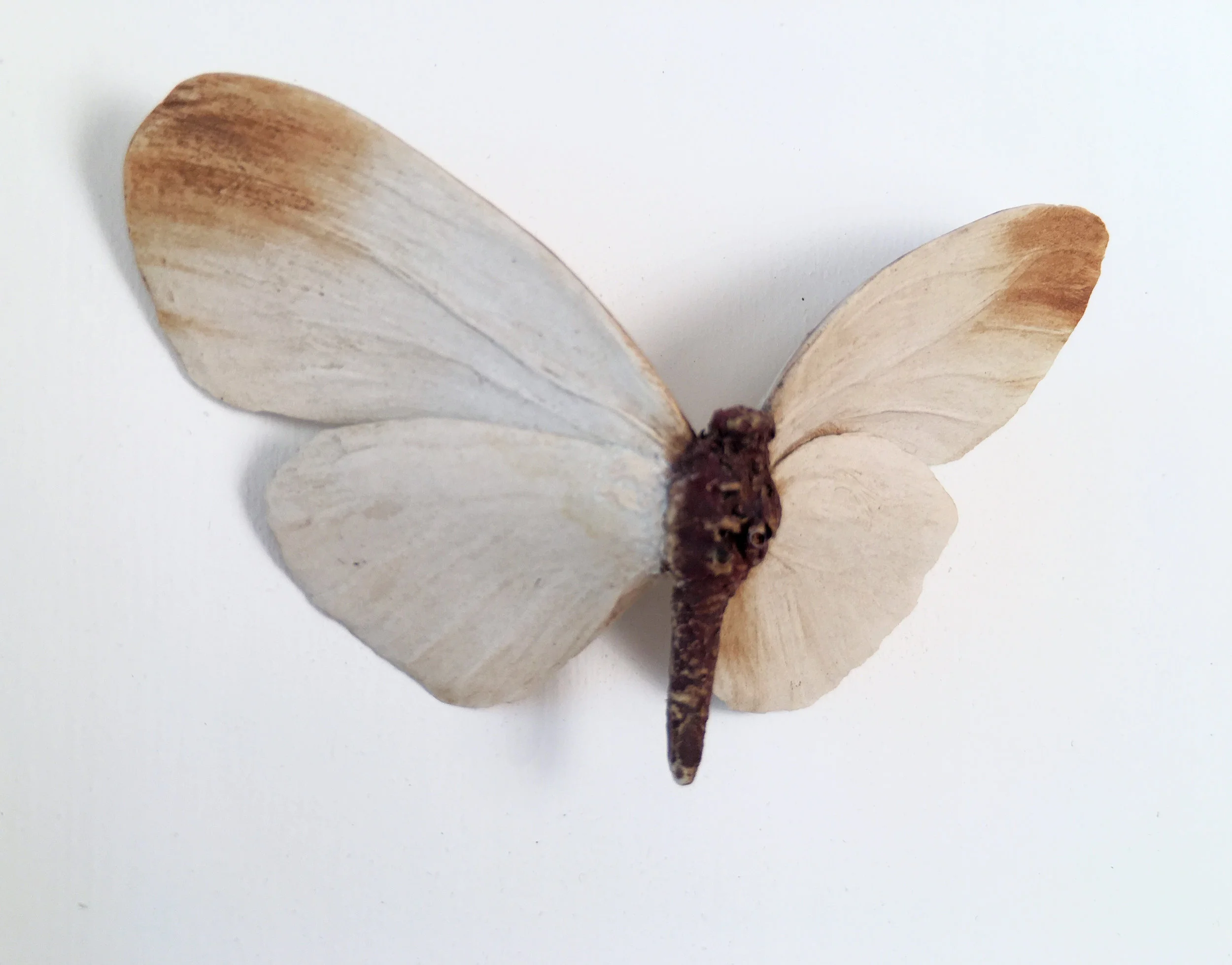 Neutral butterflies - dancer.jpg