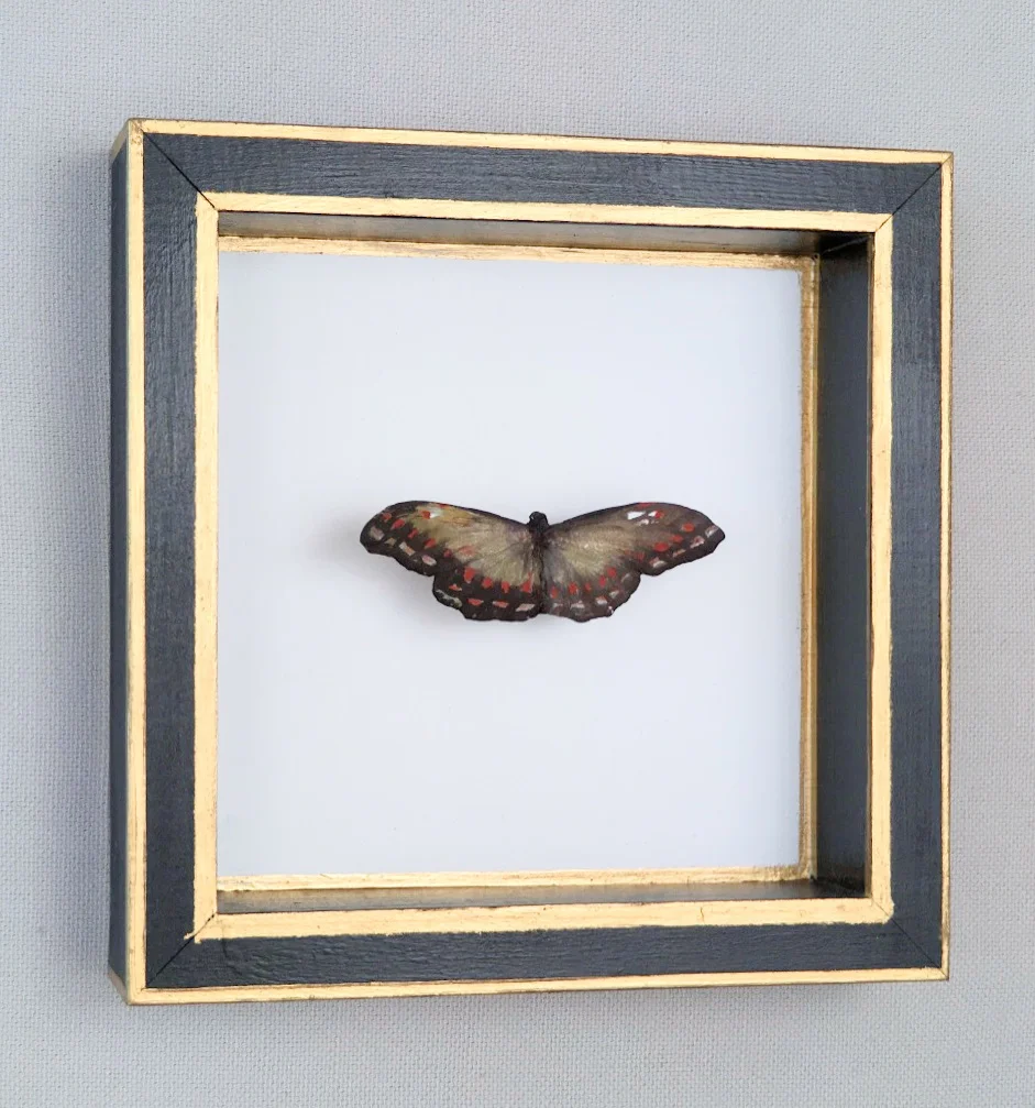 Small brown butterfly.jpg