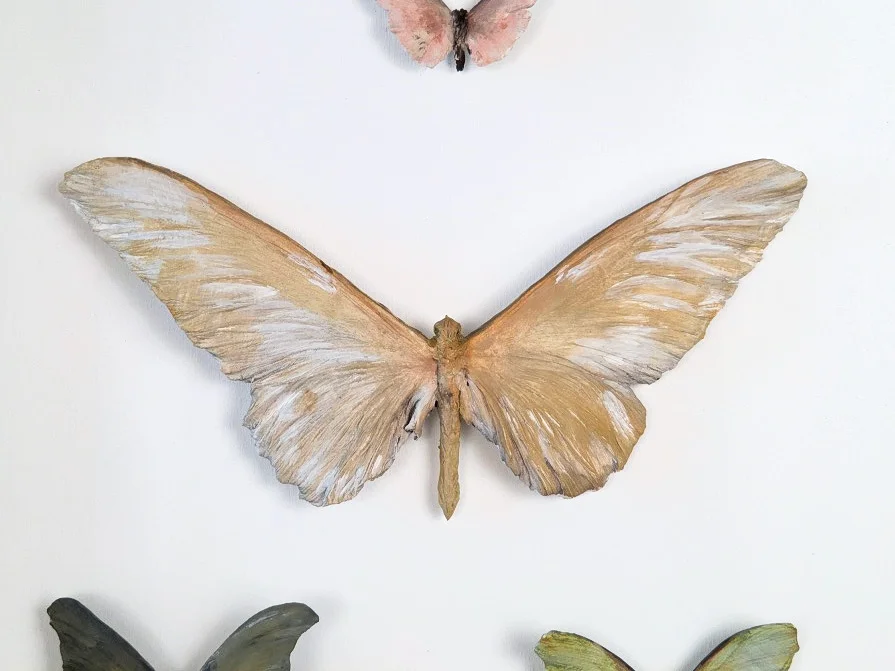 Pastel Butterfly - large.jpg