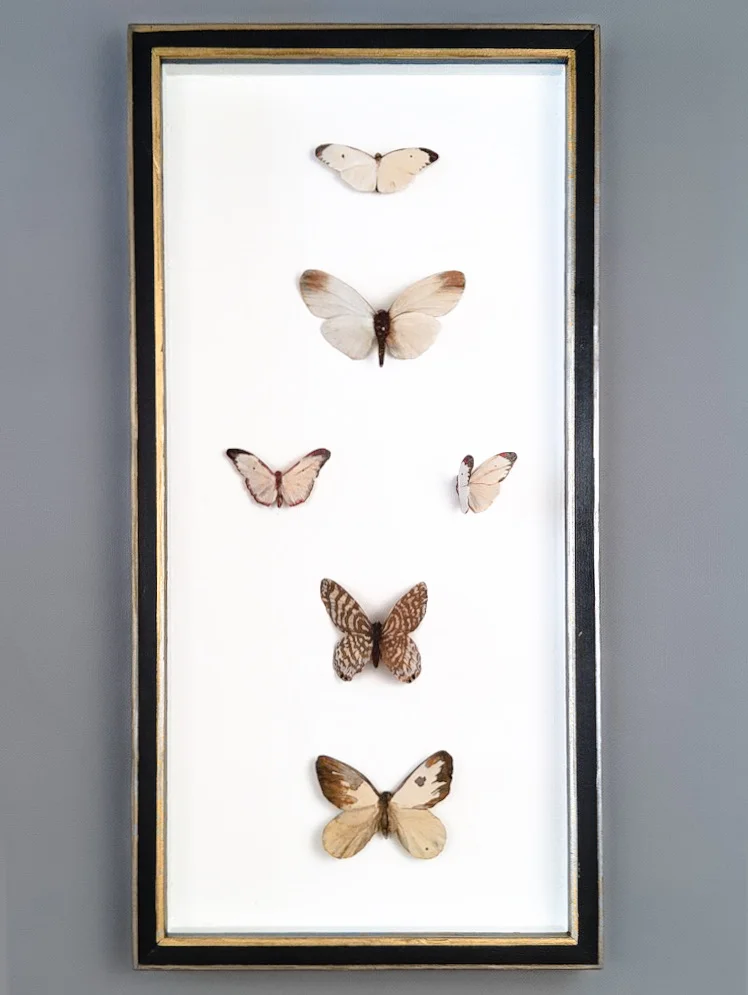 Neutral Butterflies - framed.jpg