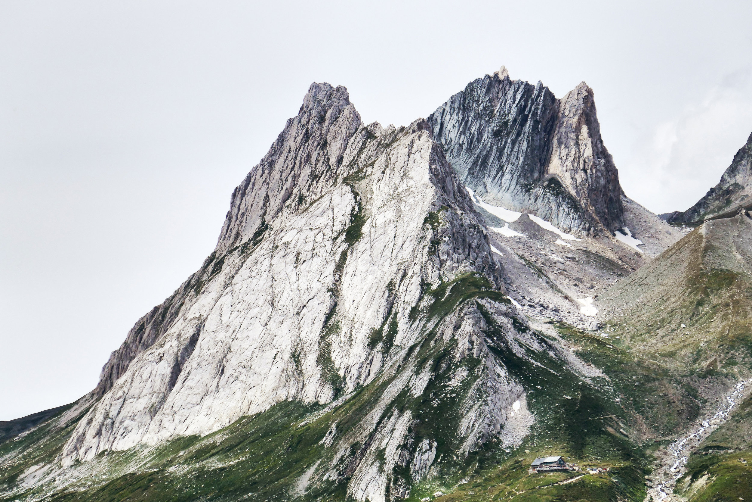 50 Days and Counting