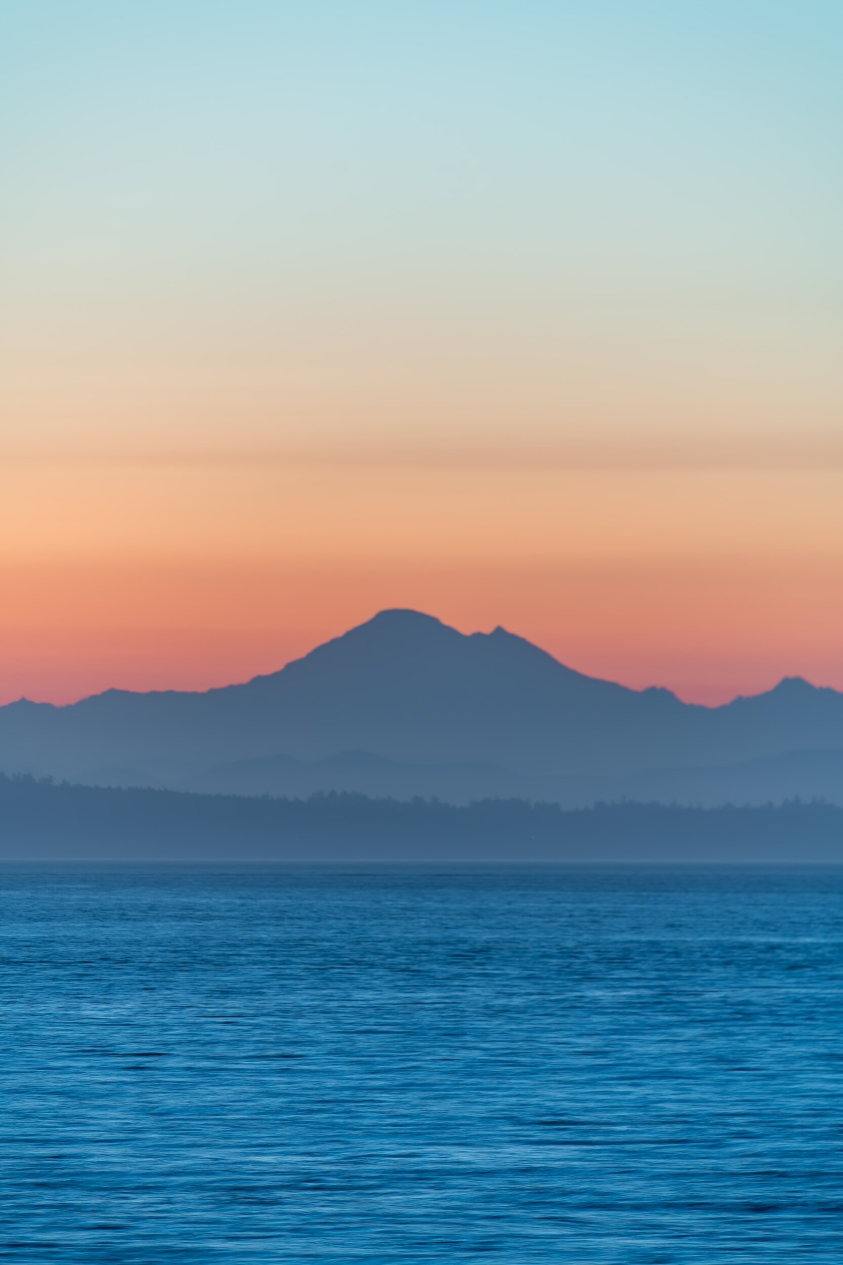 The Connection Between Reading and Action