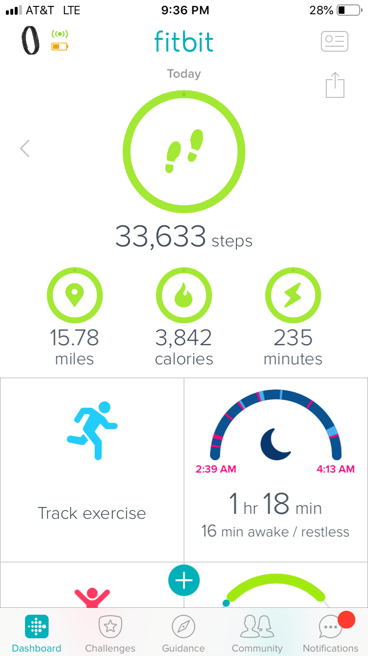 Aug 11 Fitbit.JPG