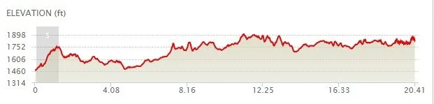 Elevation last day.jpg
