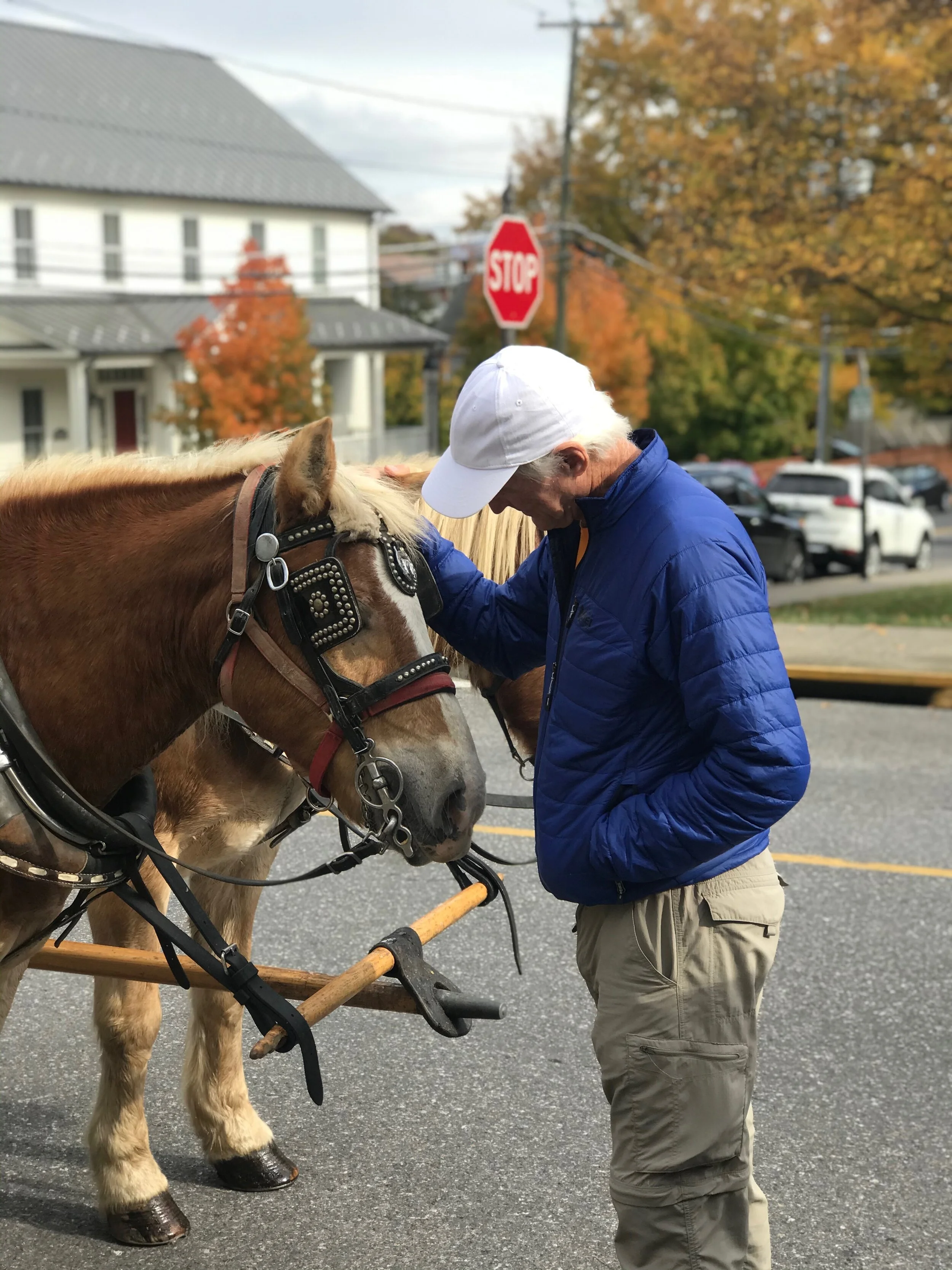 My new Lexington buddy. I was most interested in his opinion.