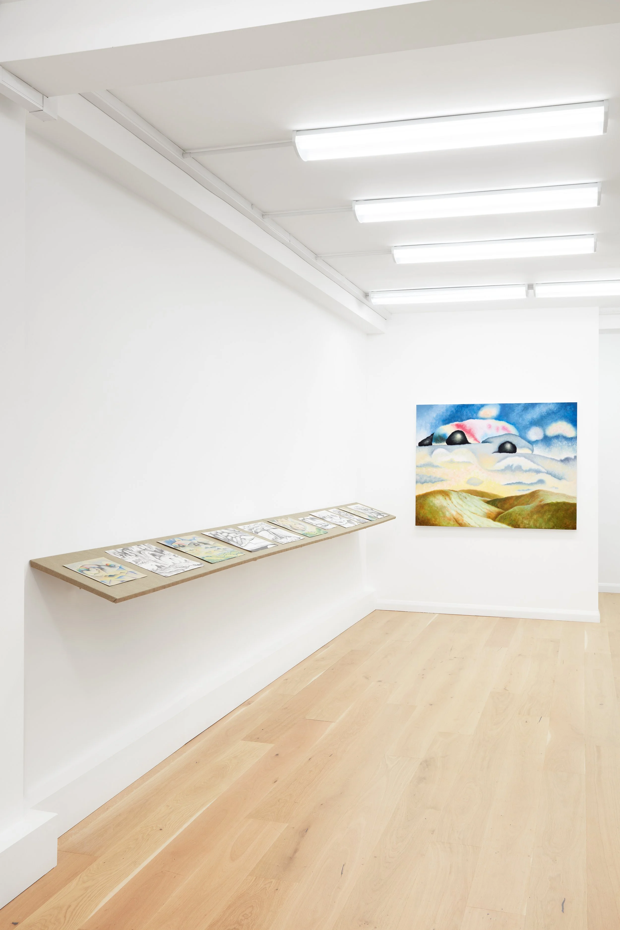 Ione and Mann 260115_34r.jpg