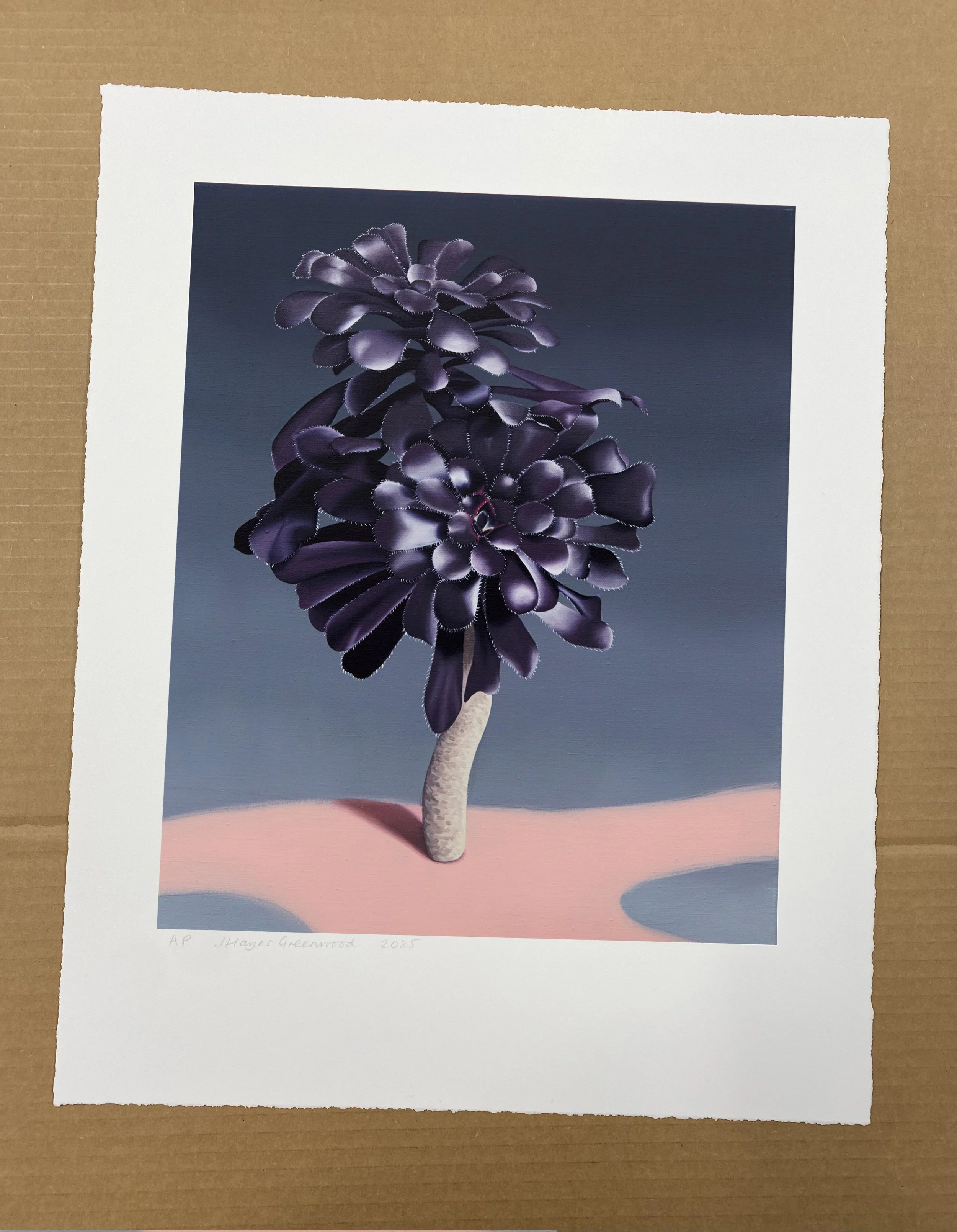 Black Prince, giclee print