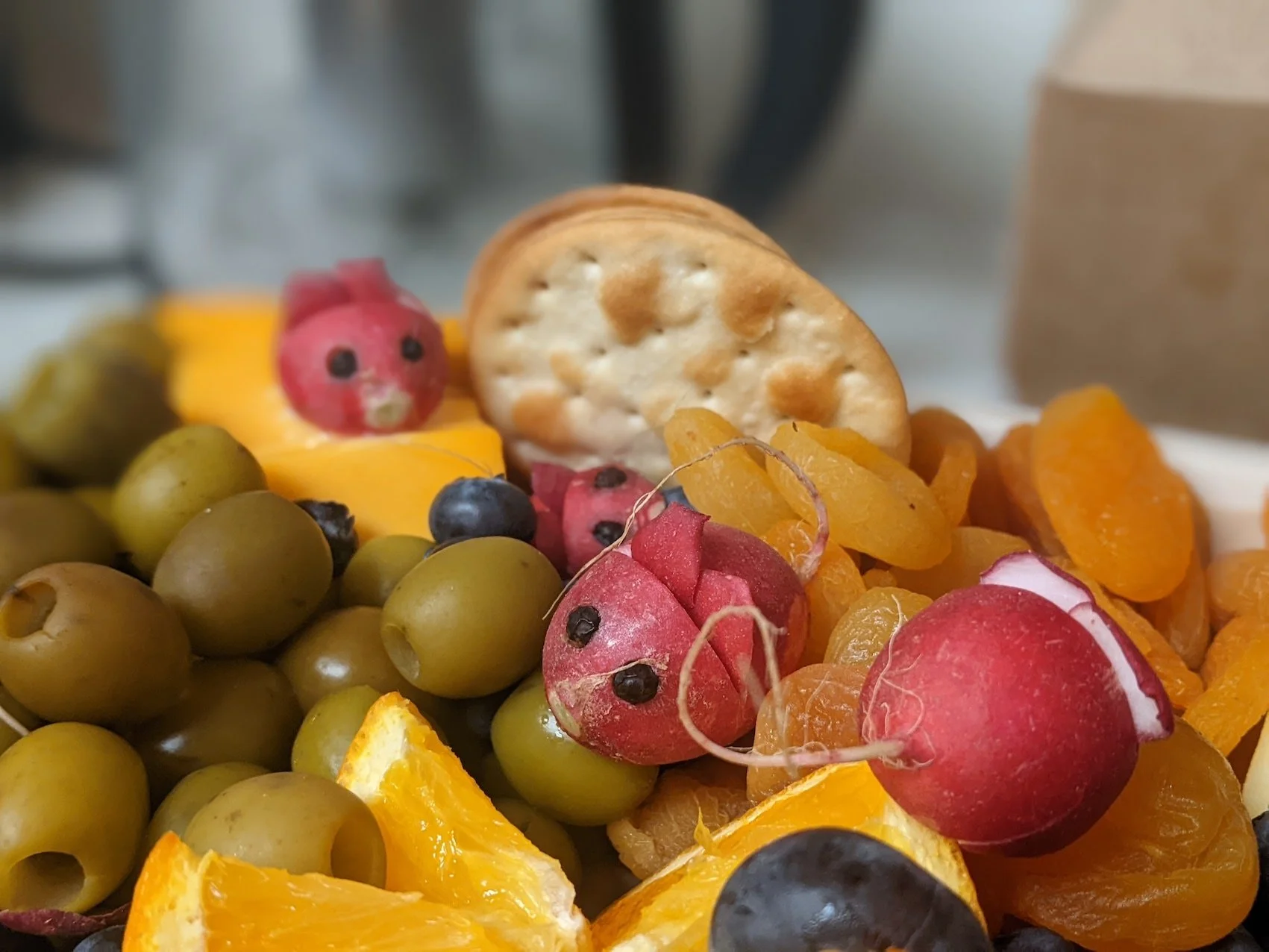 UCSB workshop food with radish mice