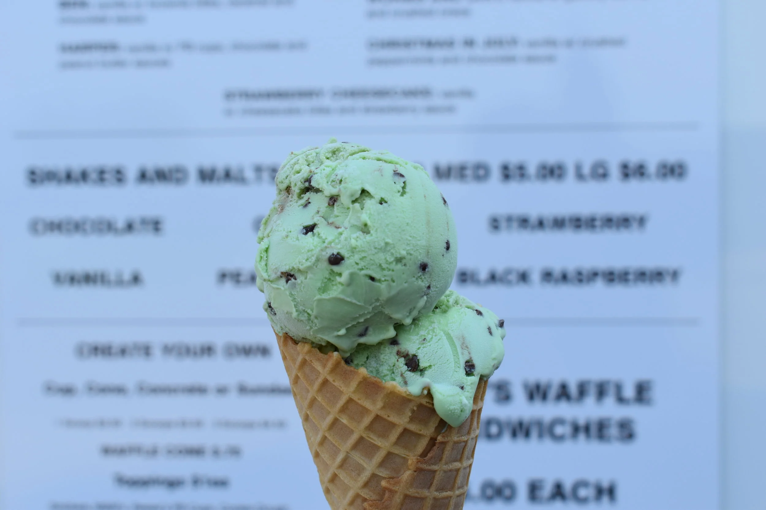 Mint Chocolate Chip