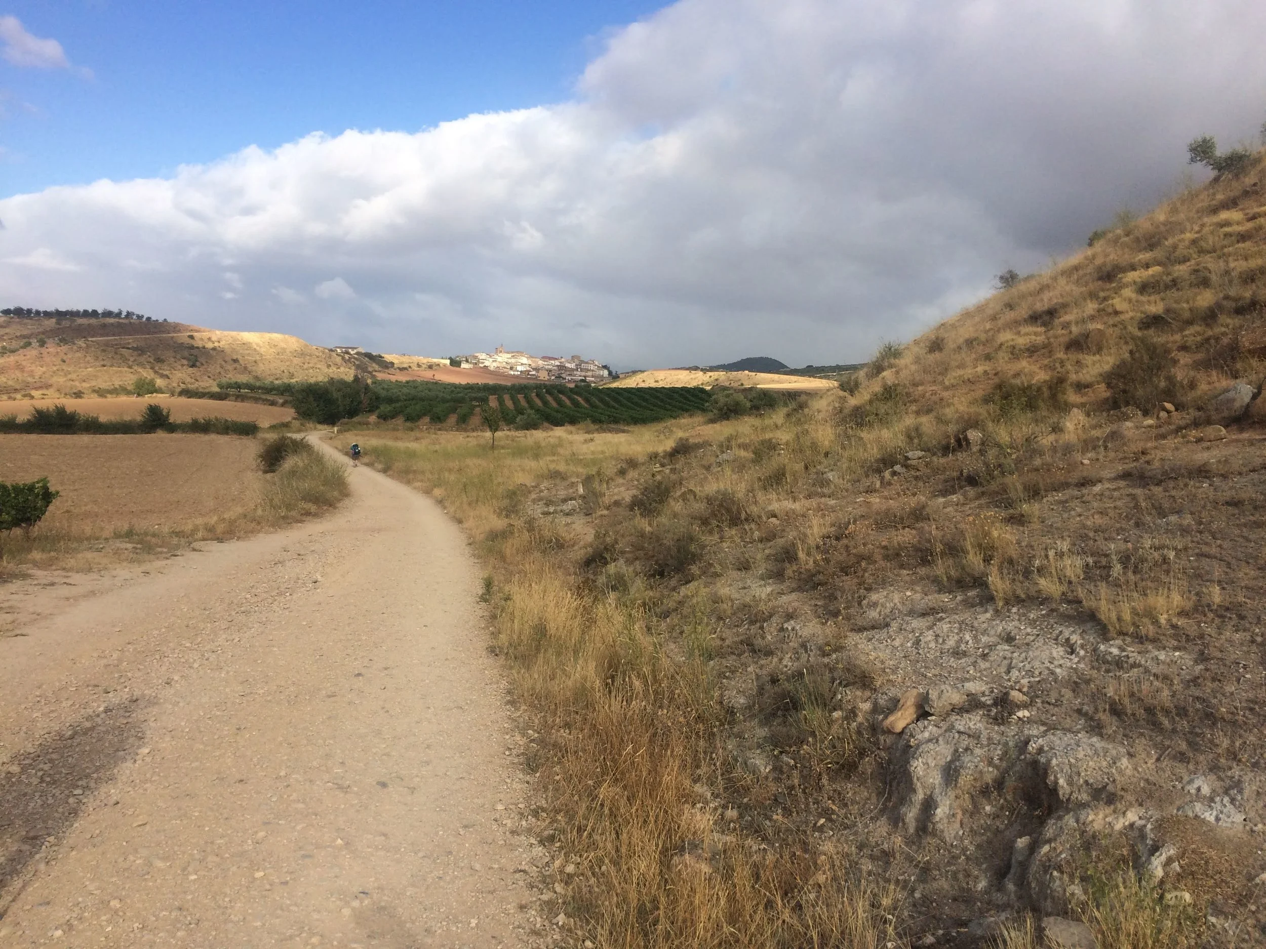 Michael Buble Makes An Appearance (Day 5)