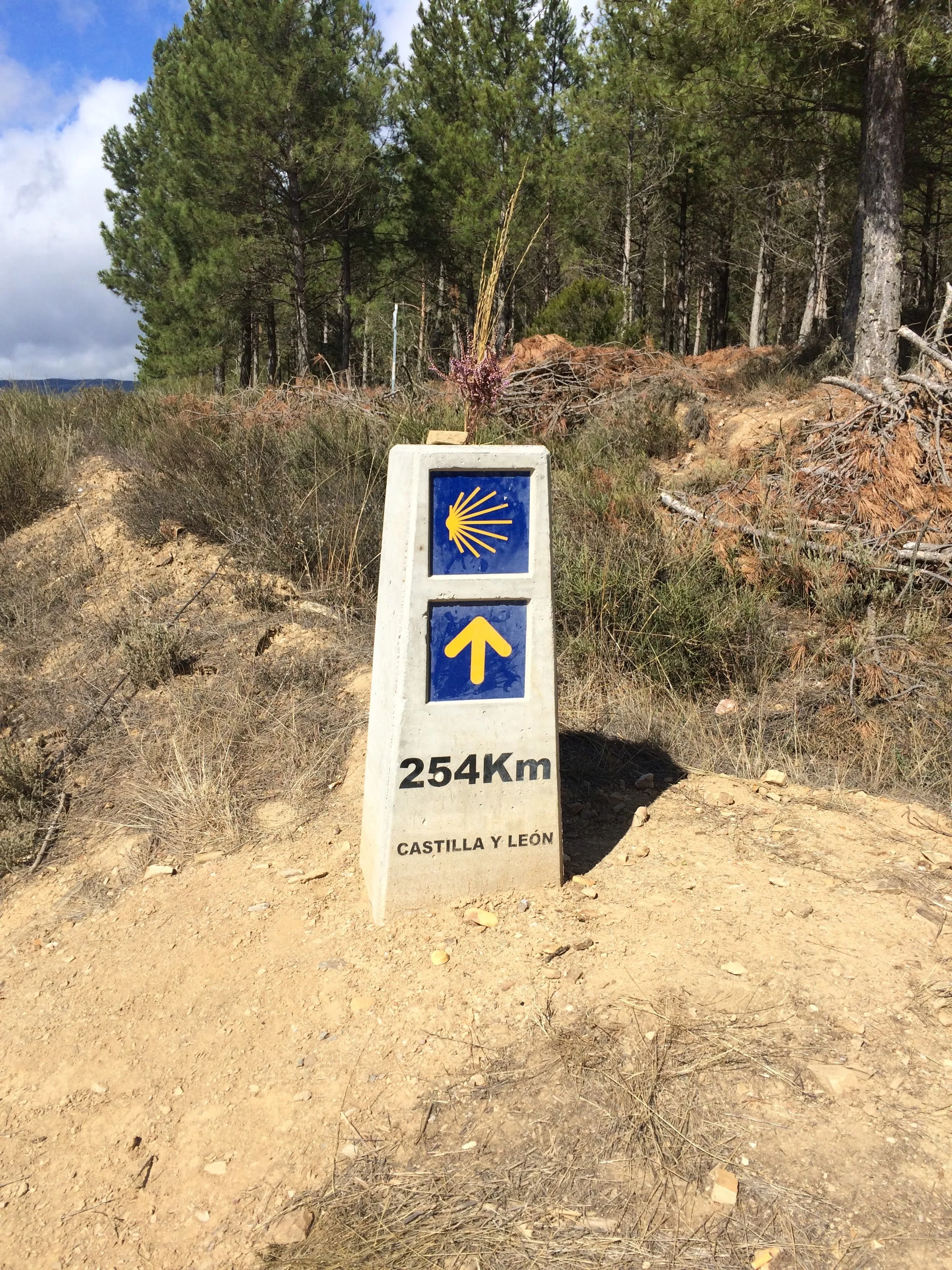 A Day In The Life (Day 24)