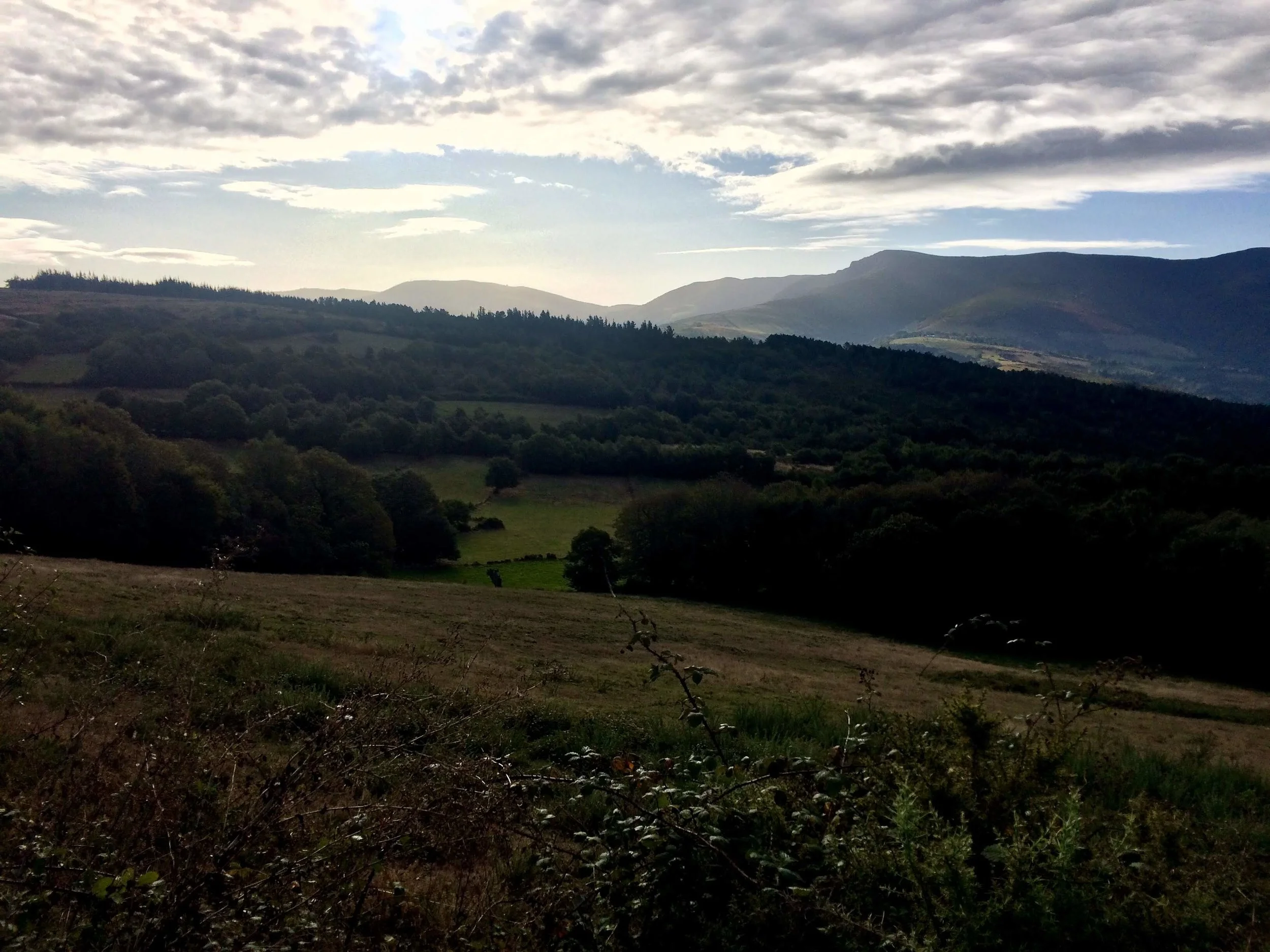 Don't Be An Asshole (Day 29)