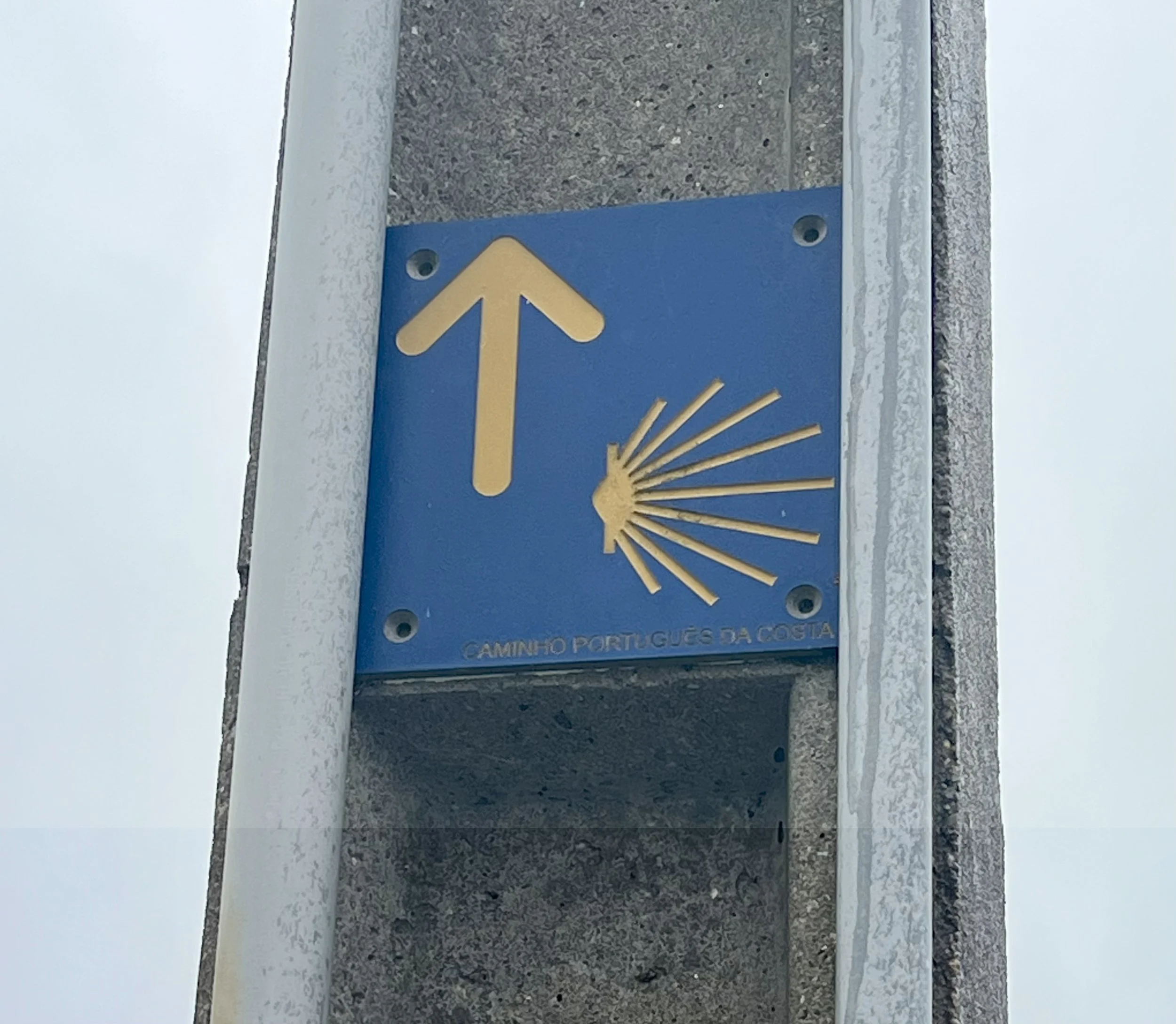 Day 2: Good God Almighty!