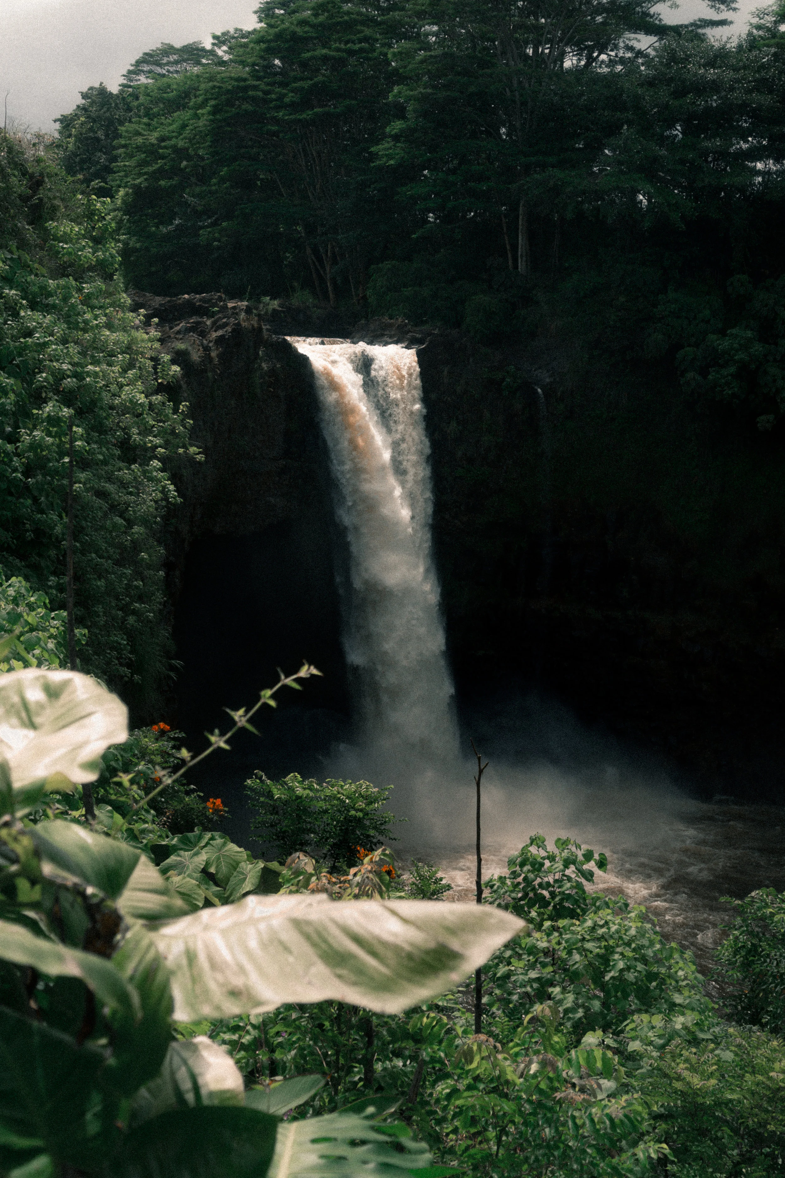 5 Things To Do in West Hawaii